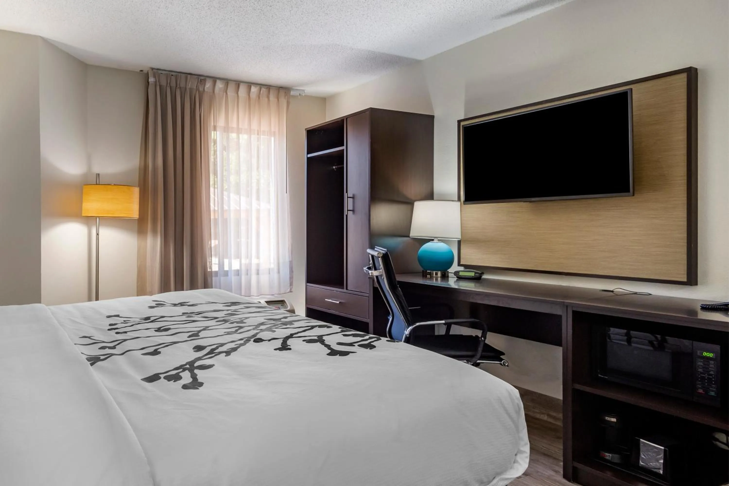 Standard Queen Room - Non-Smoking in Sleep Inn - Salisbury I-85