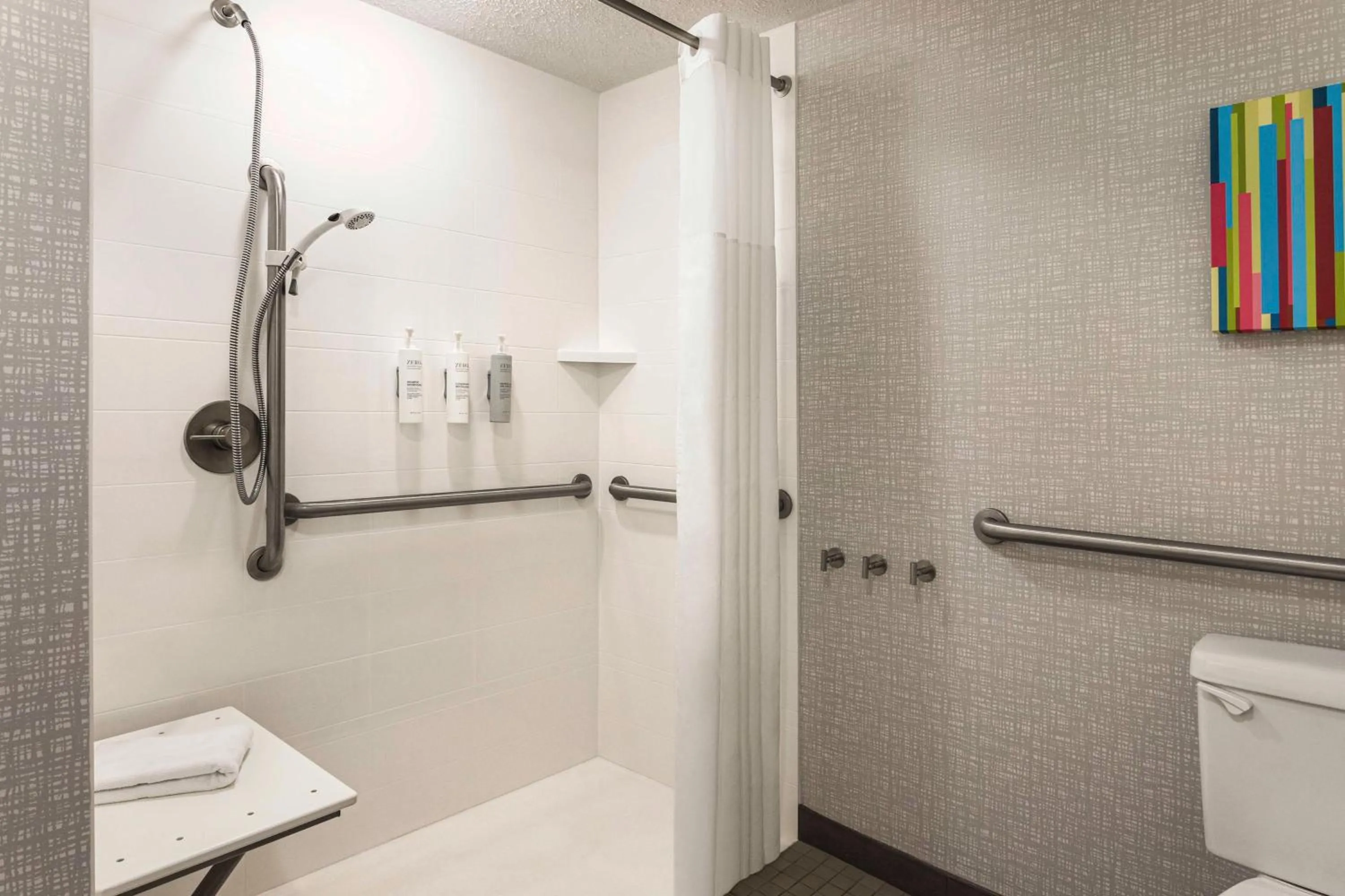 King Suite with Roll-In Shower - Mobility and Hearing Access/Non-Smoking in Hampton Inn & Suites Springfield