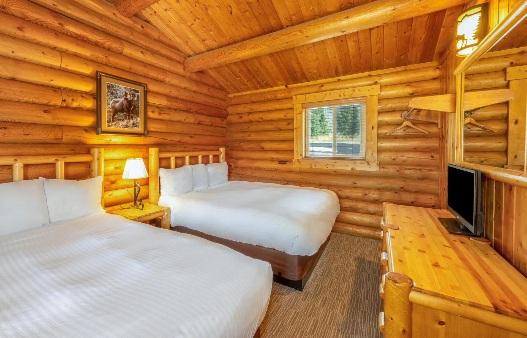 Deluxe Cottage - Pets allowed in Togwotee Mountain Lodge