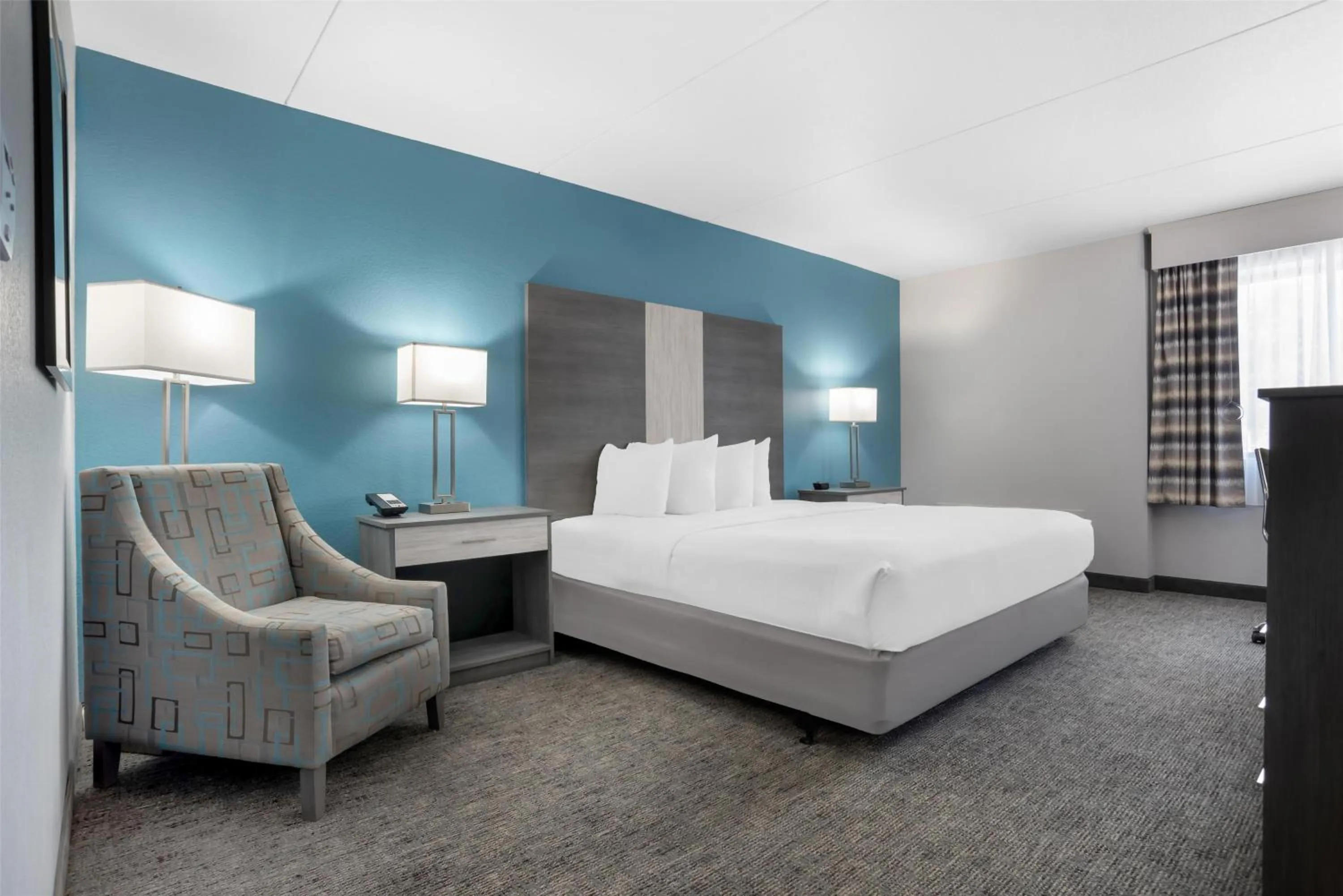 King Room with Roll-In Shower - Mobility Accessible/Pet Friendly in Best Western Brewton Inn