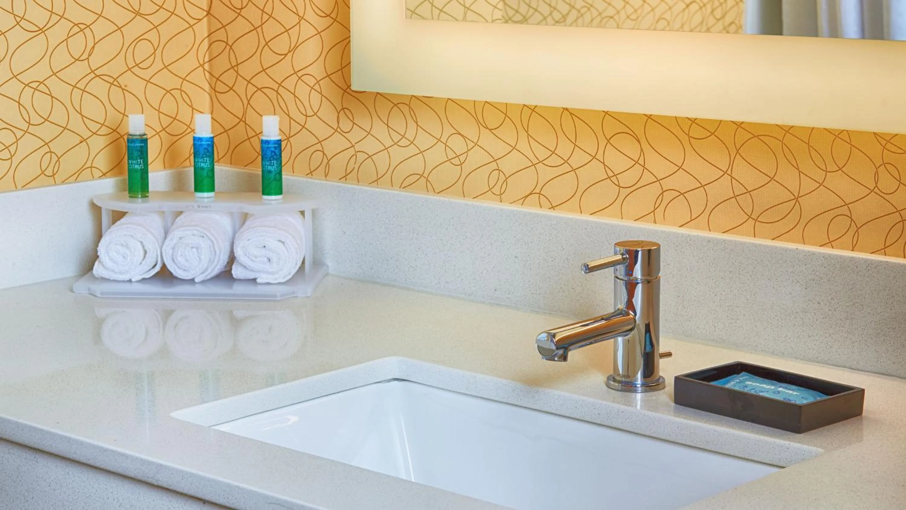 King Room - Hearing Accessible/Non-Smoking  in Holiday Inn Express Bordentown - Trenton South by IHG