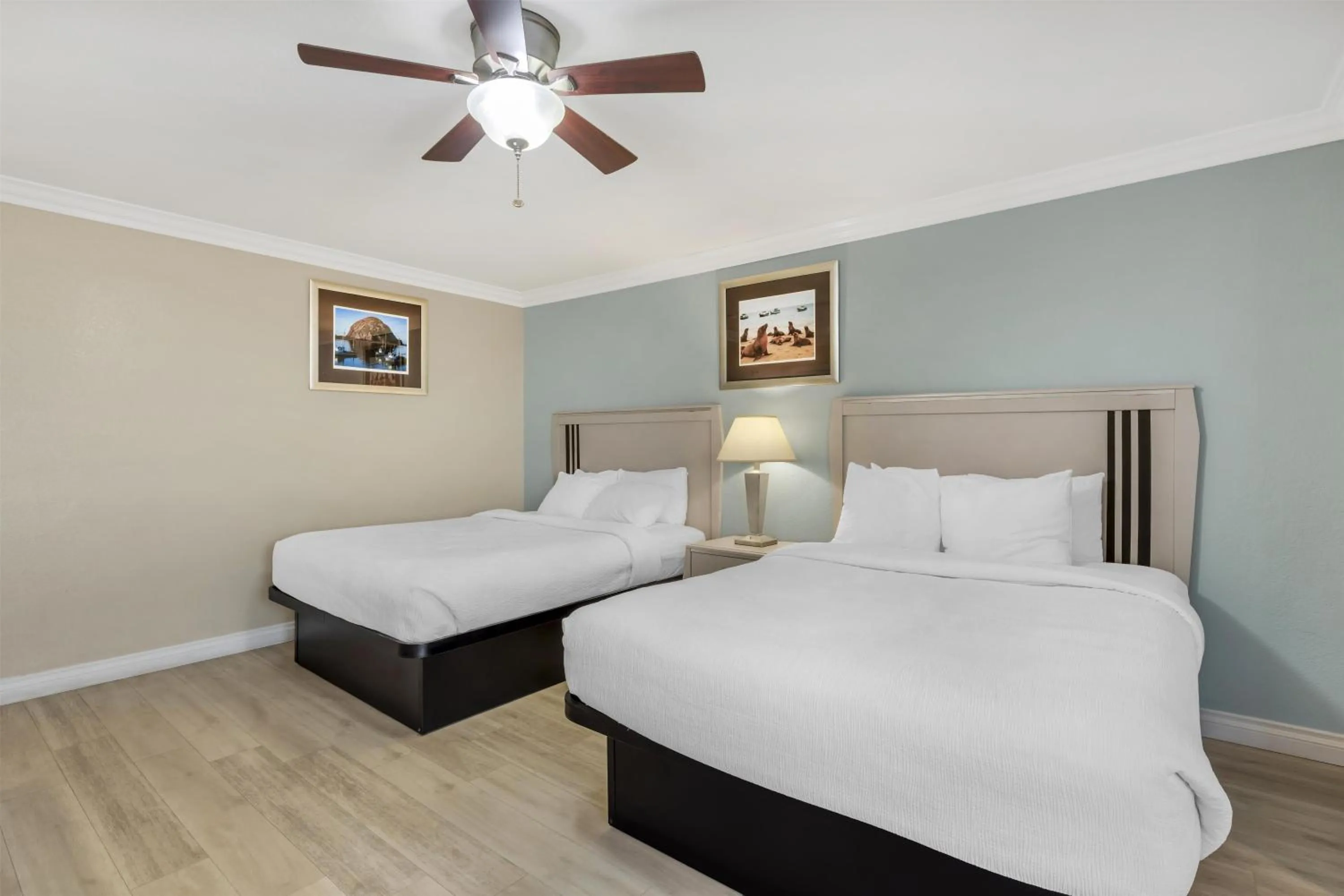 Queen Room with Two Queen Beds - Non-Smoking in Best Western Tradewinds