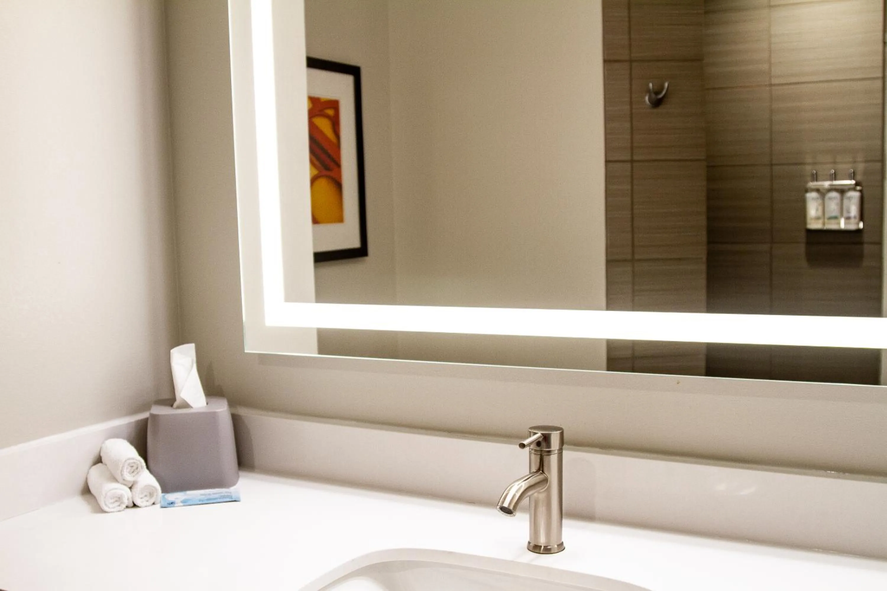 Standard Room in Holiday Inn Express & Suites Overland Park by IHG