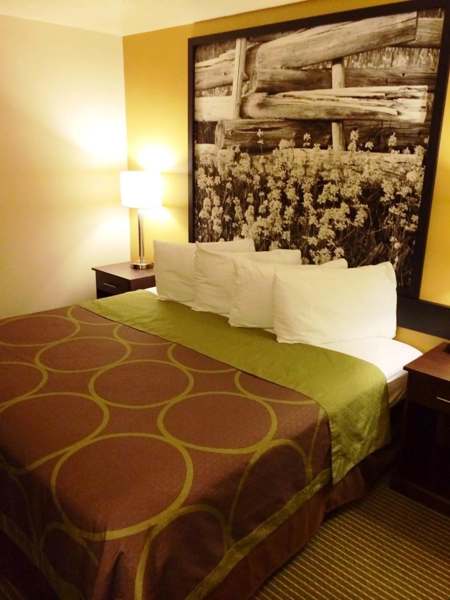 1 Queen Bed, Studio Suite, Non-Smoking  in Super 8 by Wyndham Idaho Falls