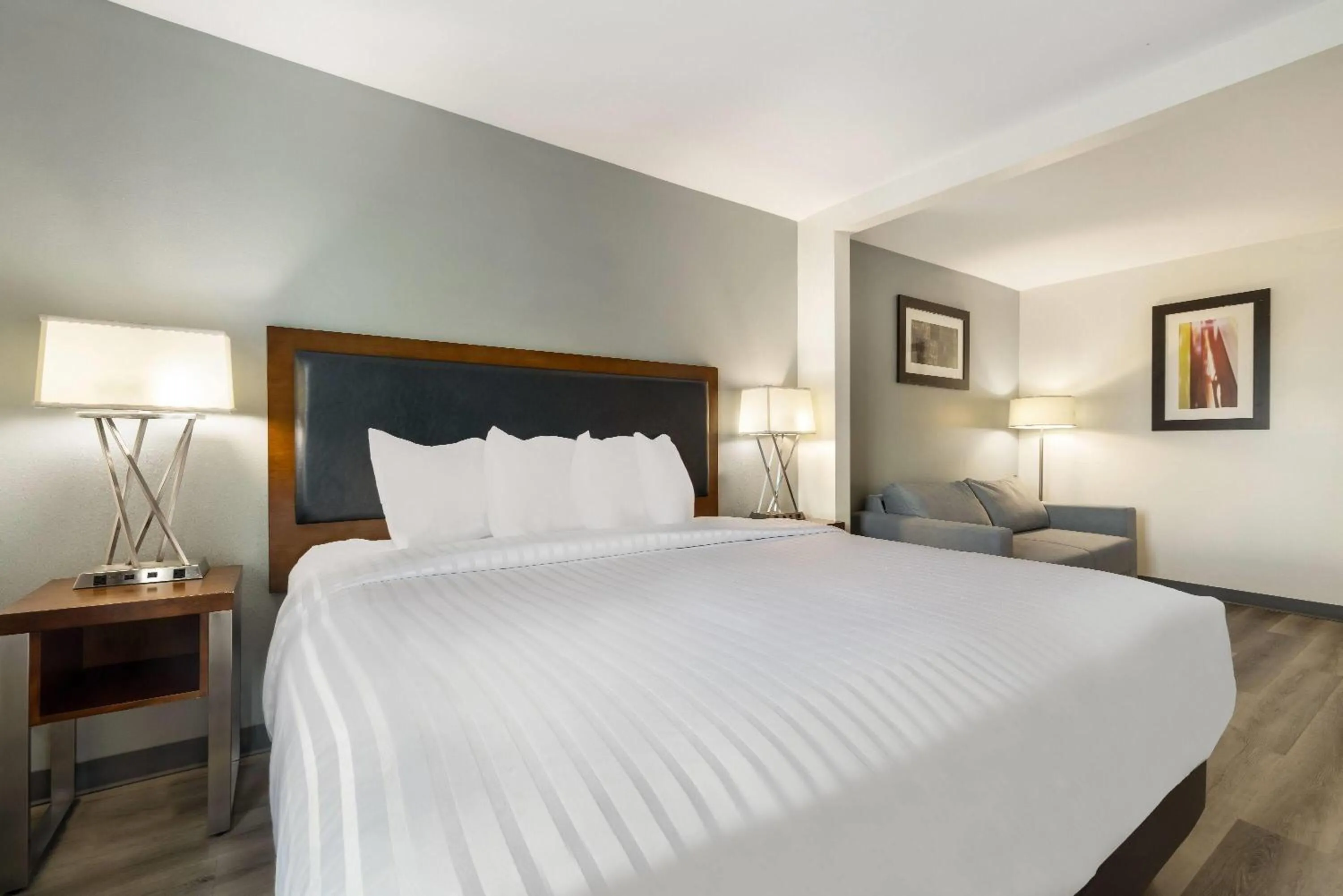 King Room- Non-Smoking in Wingate by Wyndham and Williamson Conference Center