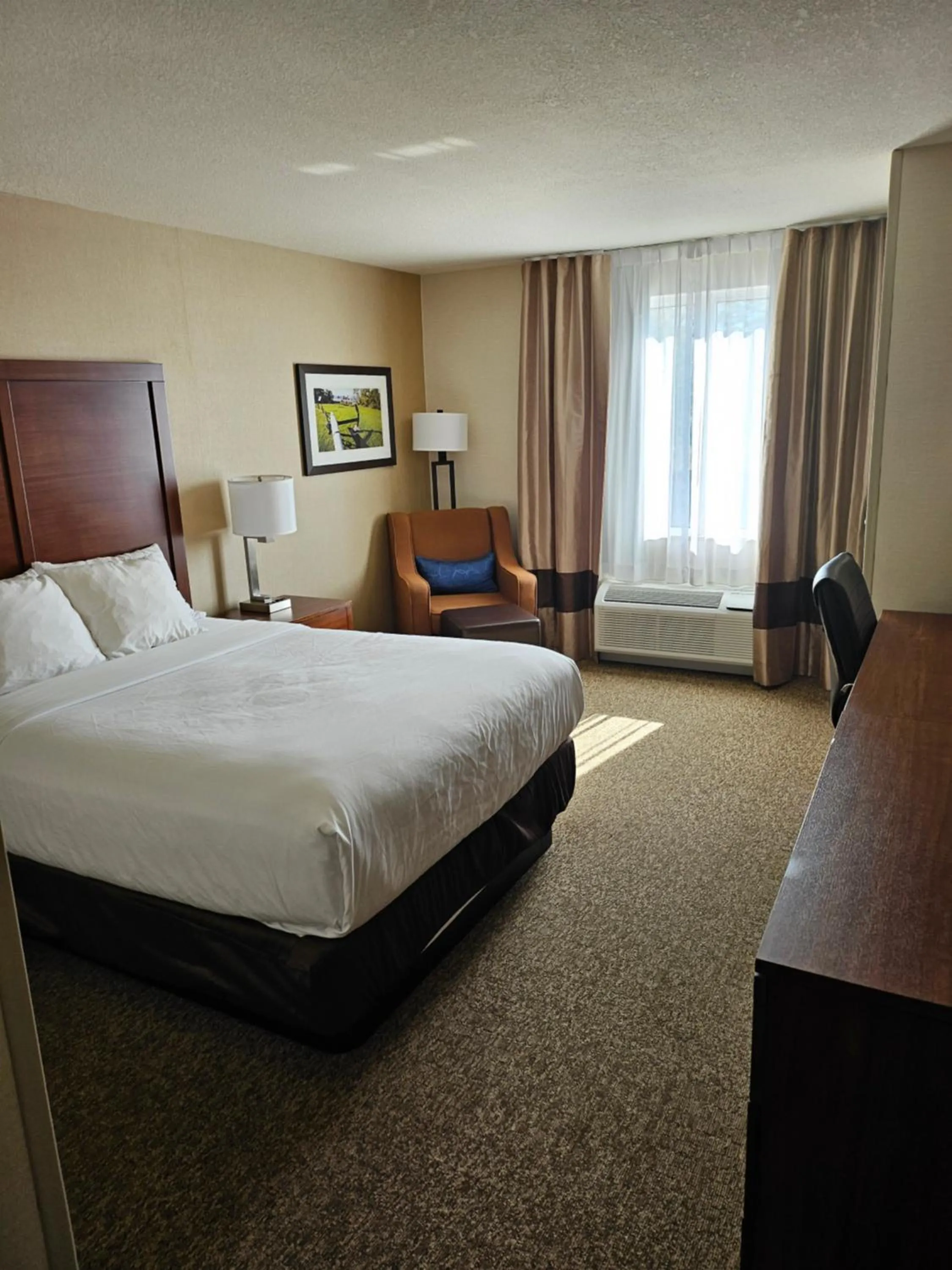 Efficiency Queen Room - Accessible/Non-Smoking in Comfort Inn & Suites