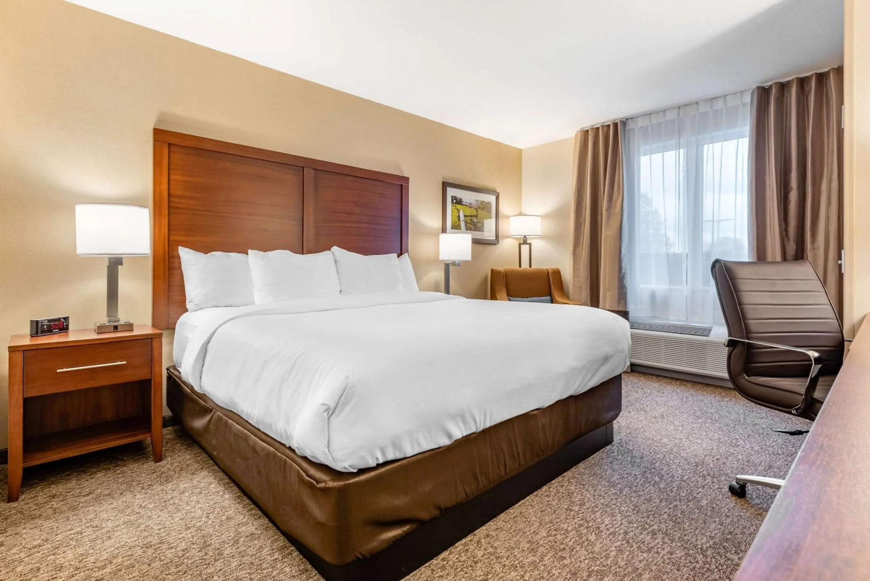 King Room - Non-Smoking in Comfort Inn & Suites