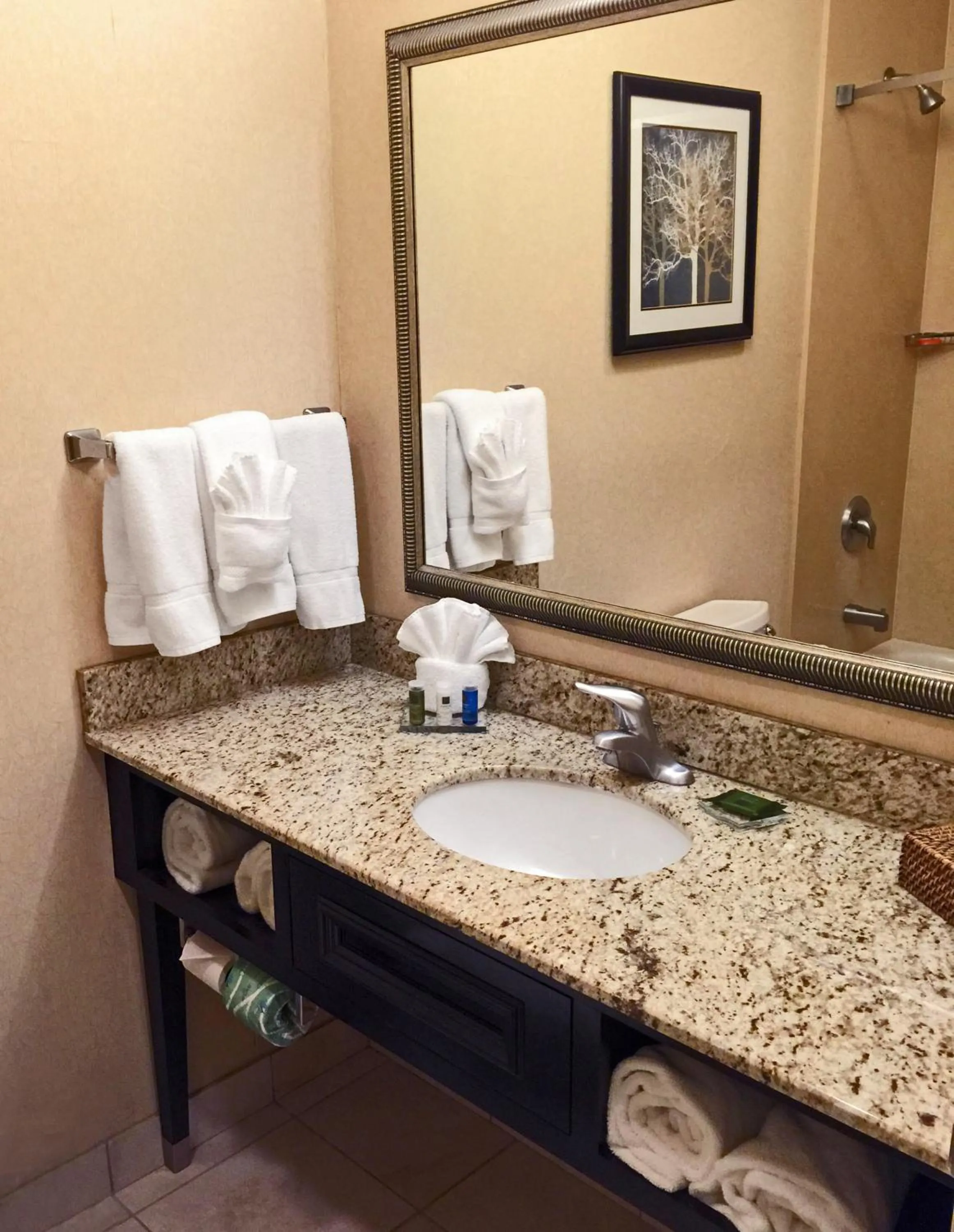 King Studio Suite - Non-Smoking in Radisson Hotel Freehold