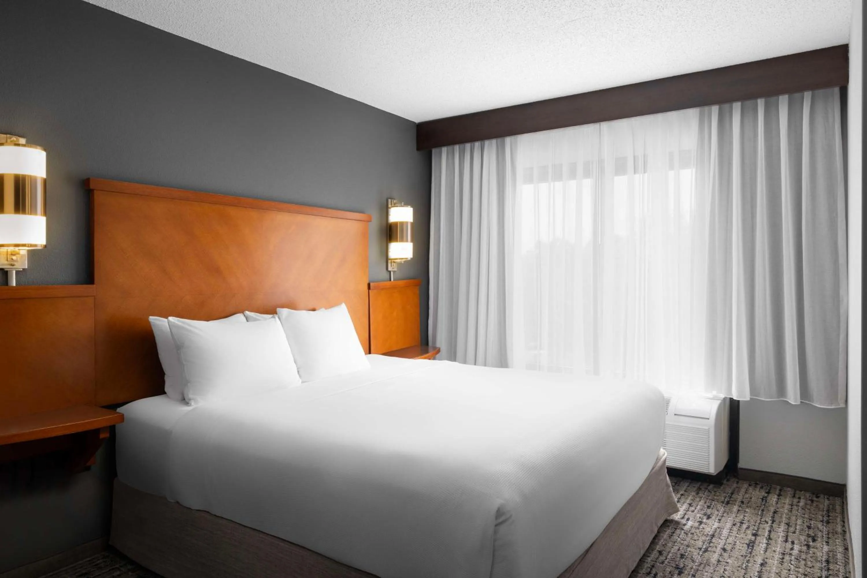 King Room with Sofa Bed and Roll-In Shower - Disability Access in Hyatt Place Chantilly Dulles Airport South