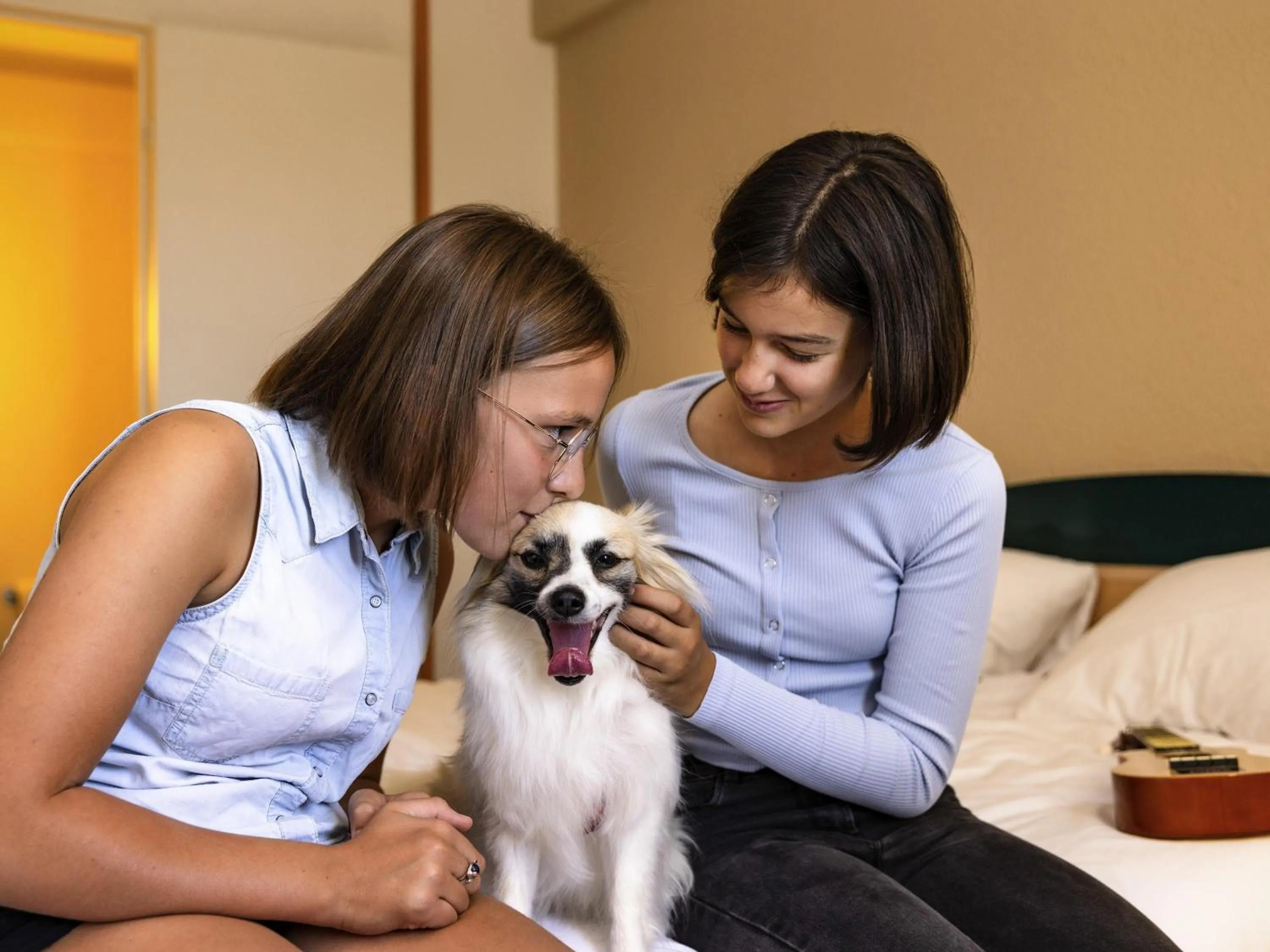 Standard Twin Room in Hotel ibis Autun