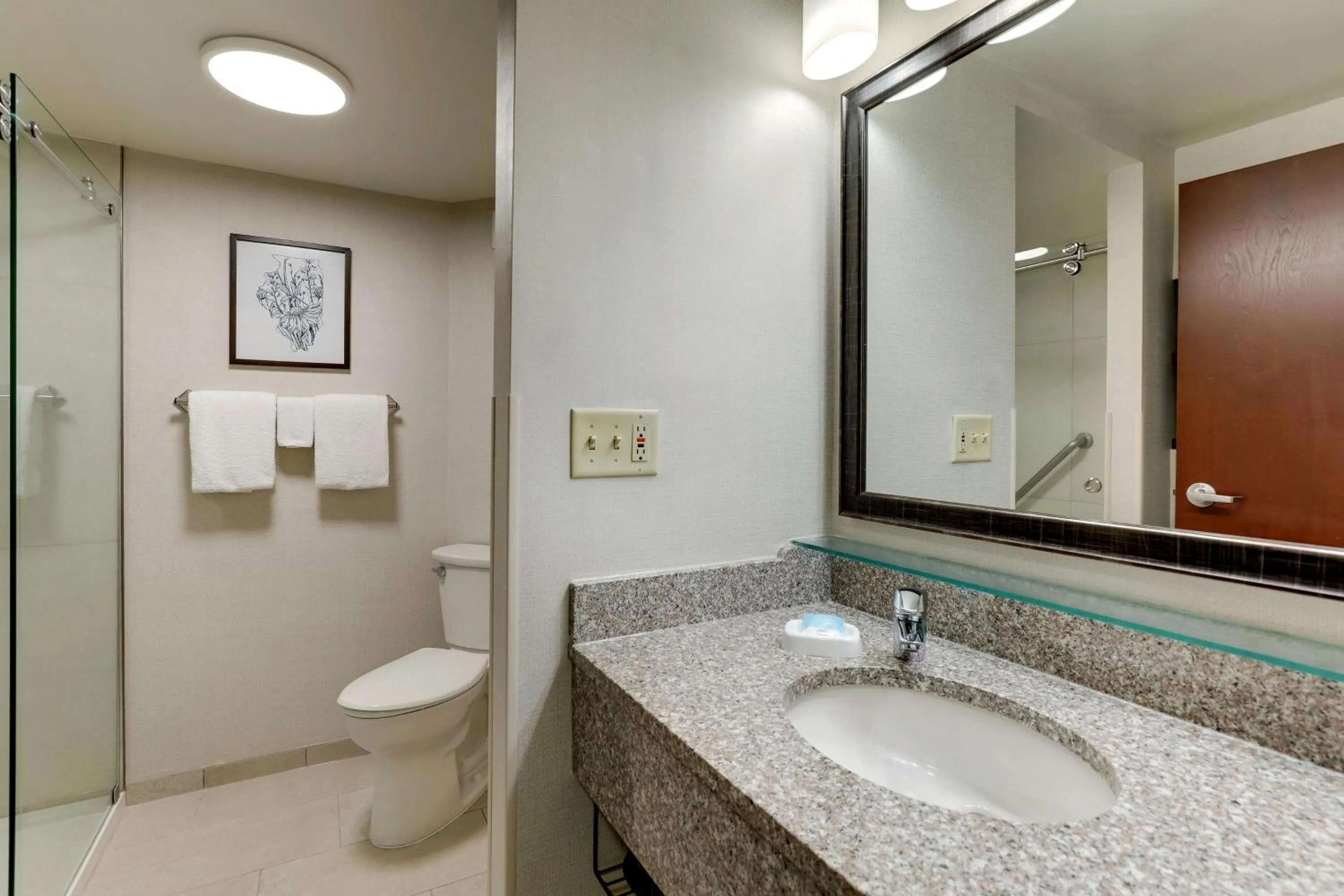 Superior Queen Room in Drury Inn & Suites Marion