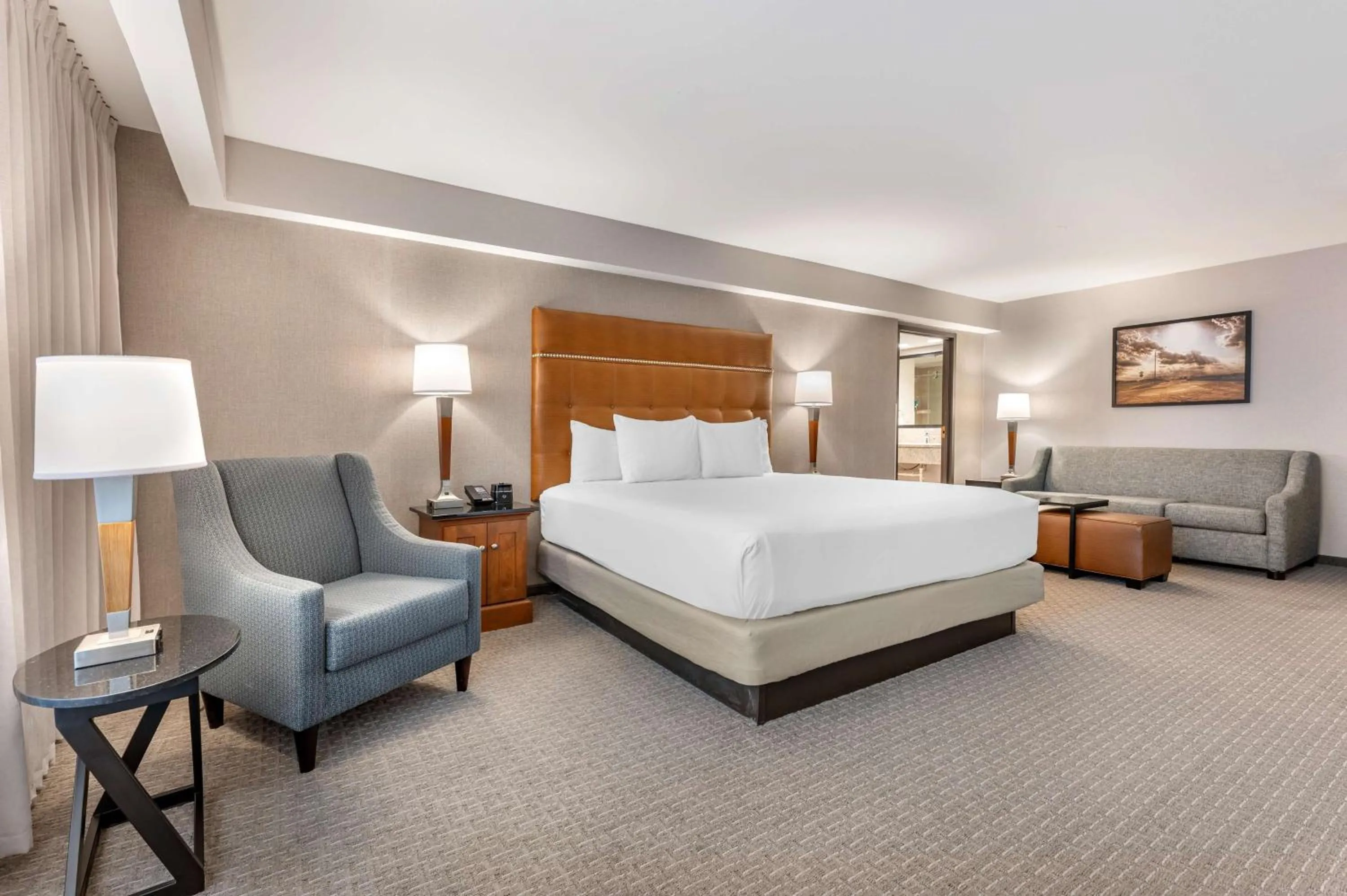 Deluxe King Room with Sofa Bed in Drury Inn & Suites Champaign