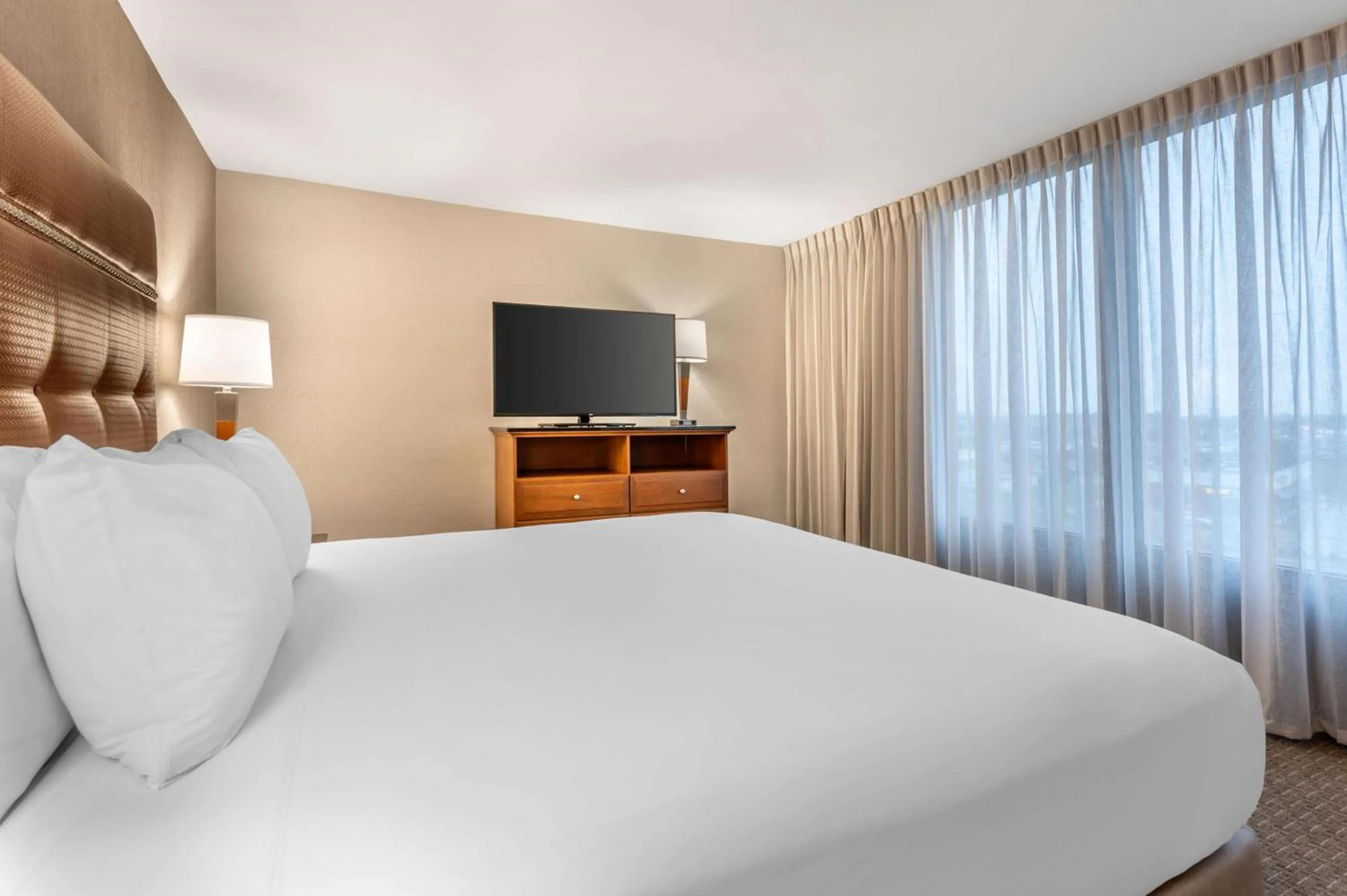 Upper Floor King Suite with Sofa Bed in Drury Inn & Suites Champaign