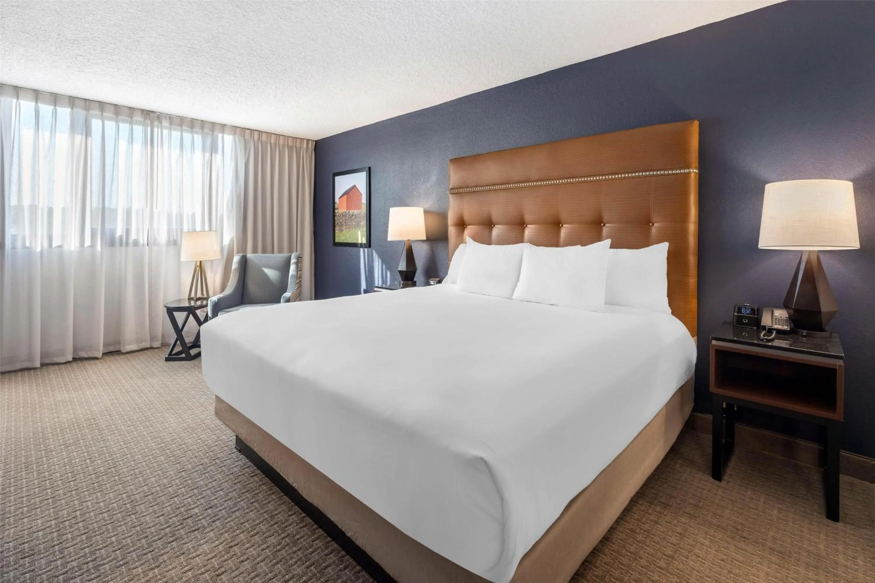 King Room in Drury Inn & Suites Paducah