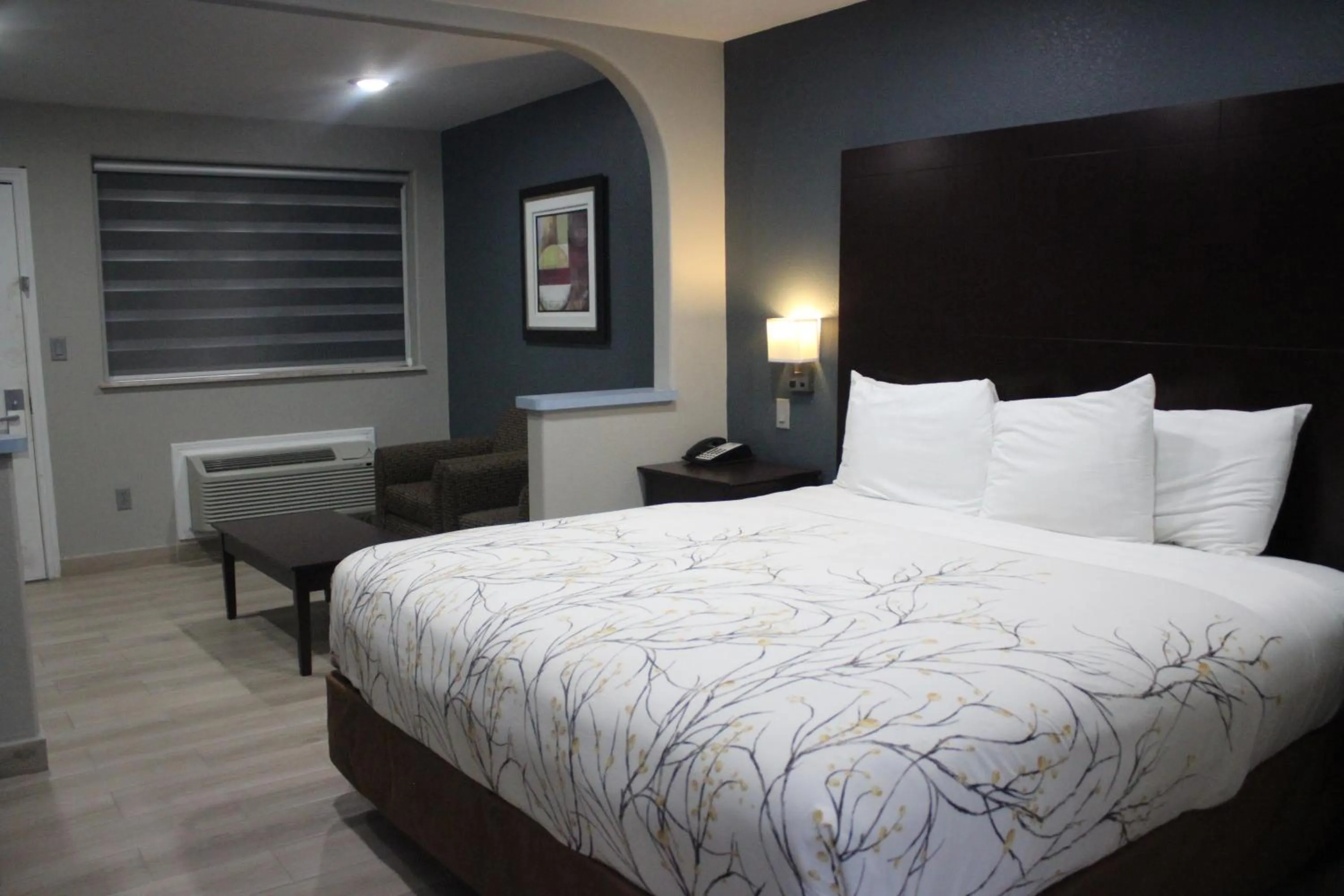 Deluxe Single Room in Cotulla Executive Inn