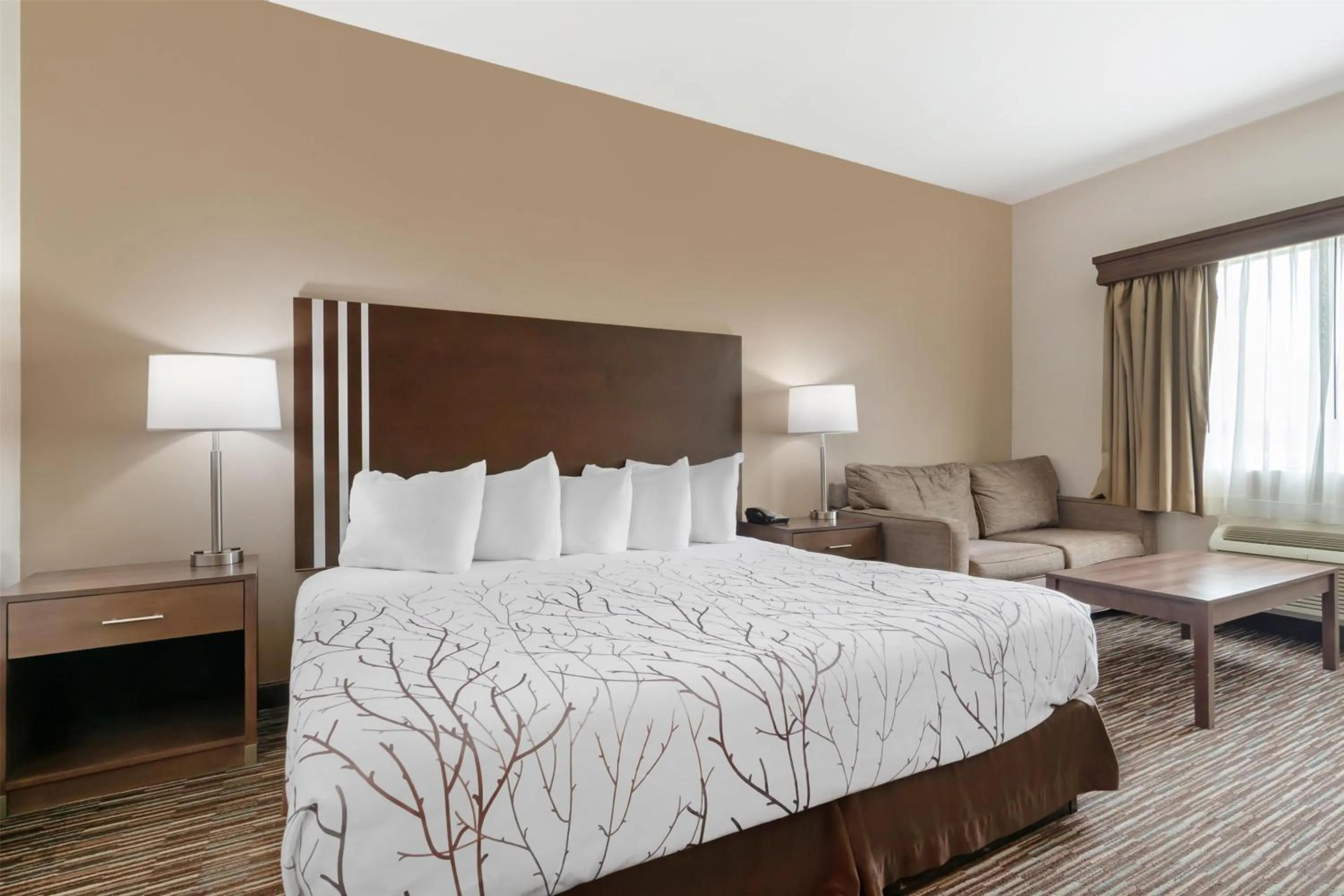 King Room with Roll-in Shower - Disability Access/Non-Smoking in Best Western Brookfield