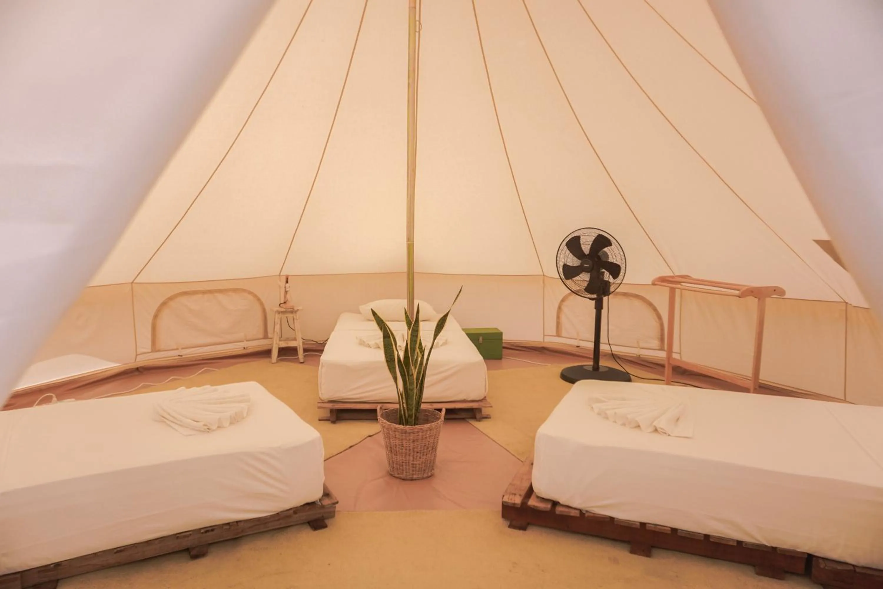 Bed in 3-Bed Female Dormitory Room in Roost Glamping - SHA Certified