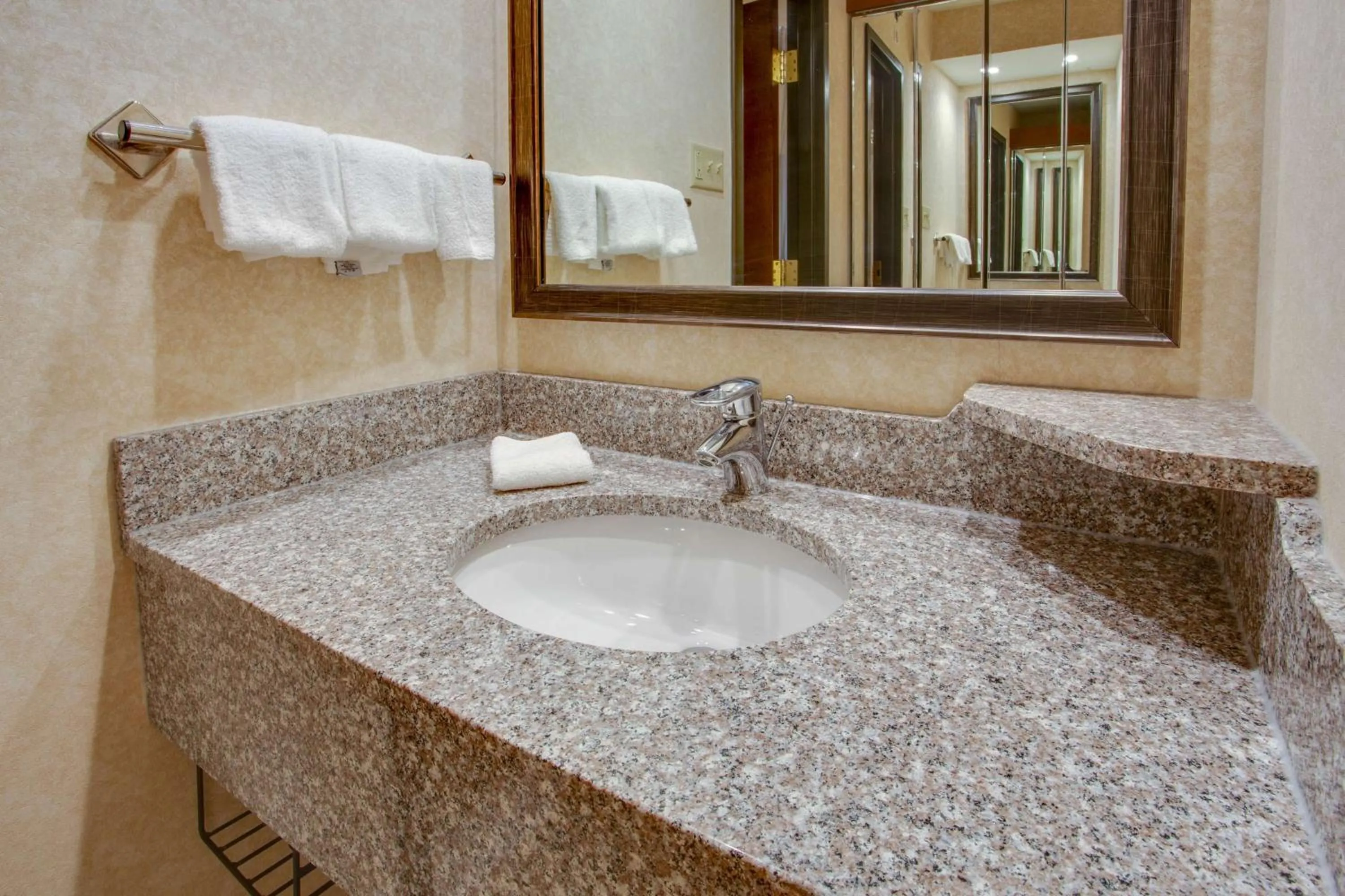 Deluxe King Room - Accessible, Roll-in Shower in Drury Inn & Suites Terre Haute