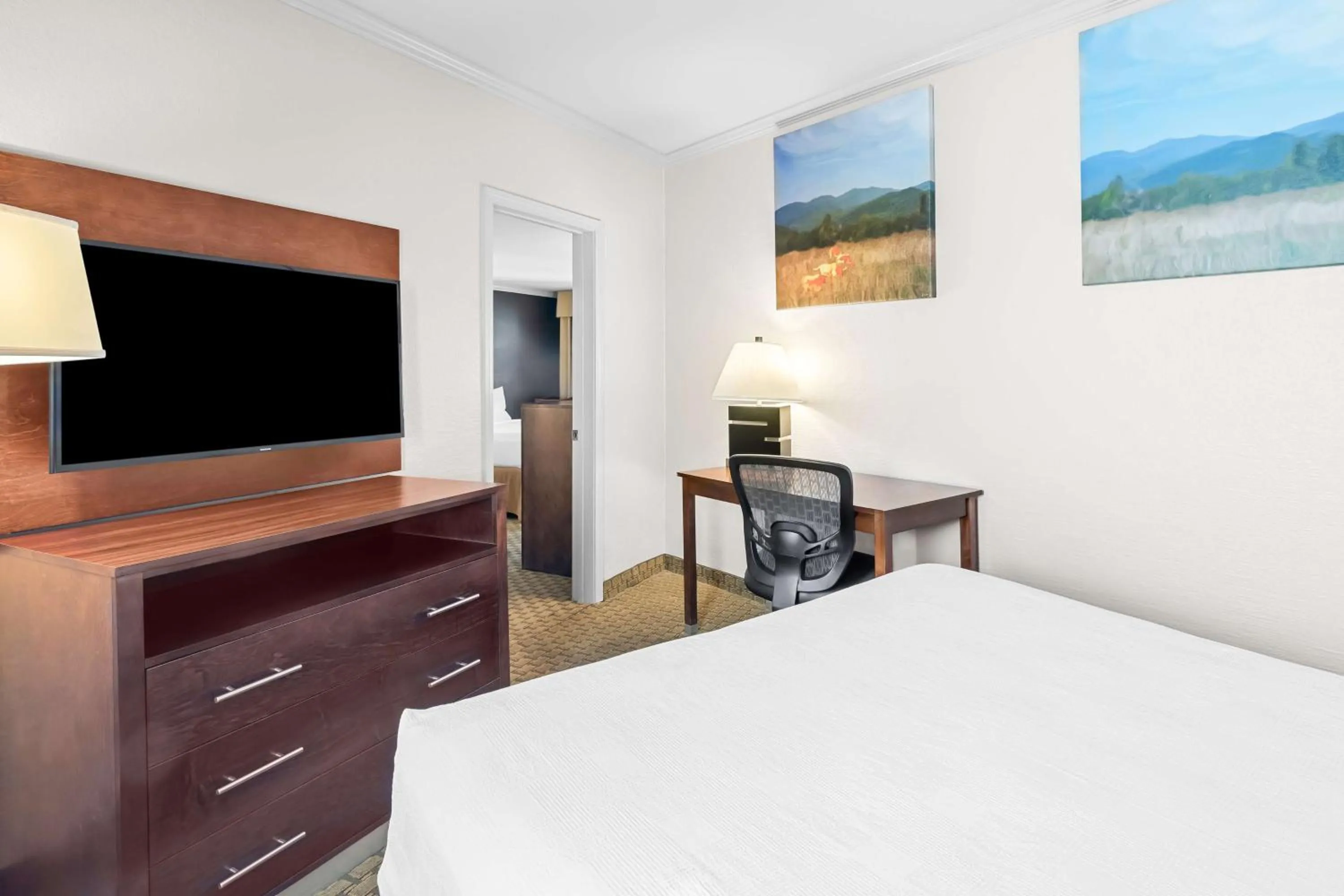 Queen Room in Best Western Skyline Motor Lodge