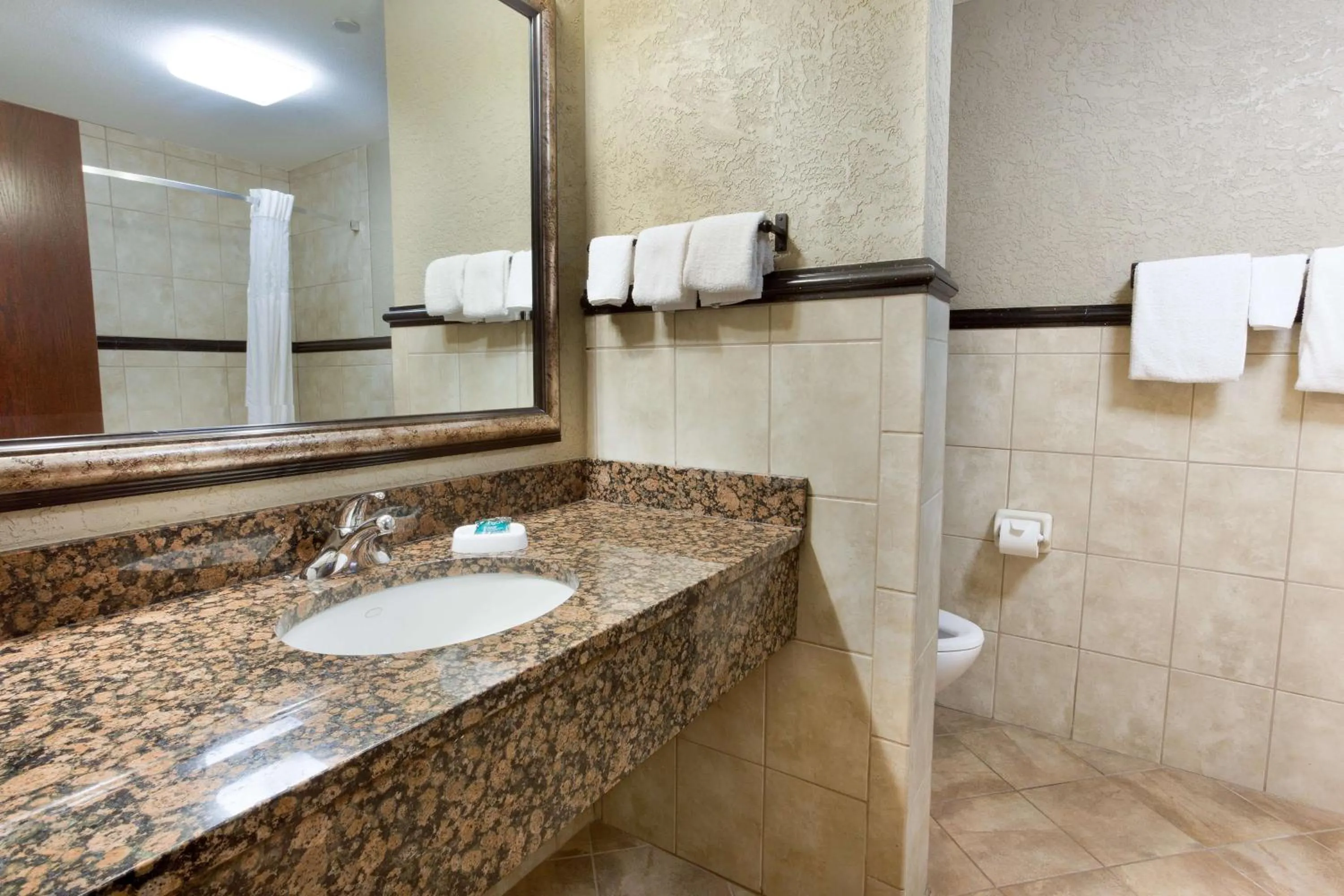 Deluxe King Room - Accessible, Roll-in Shower in Drury Inn & Suites Flagstaff