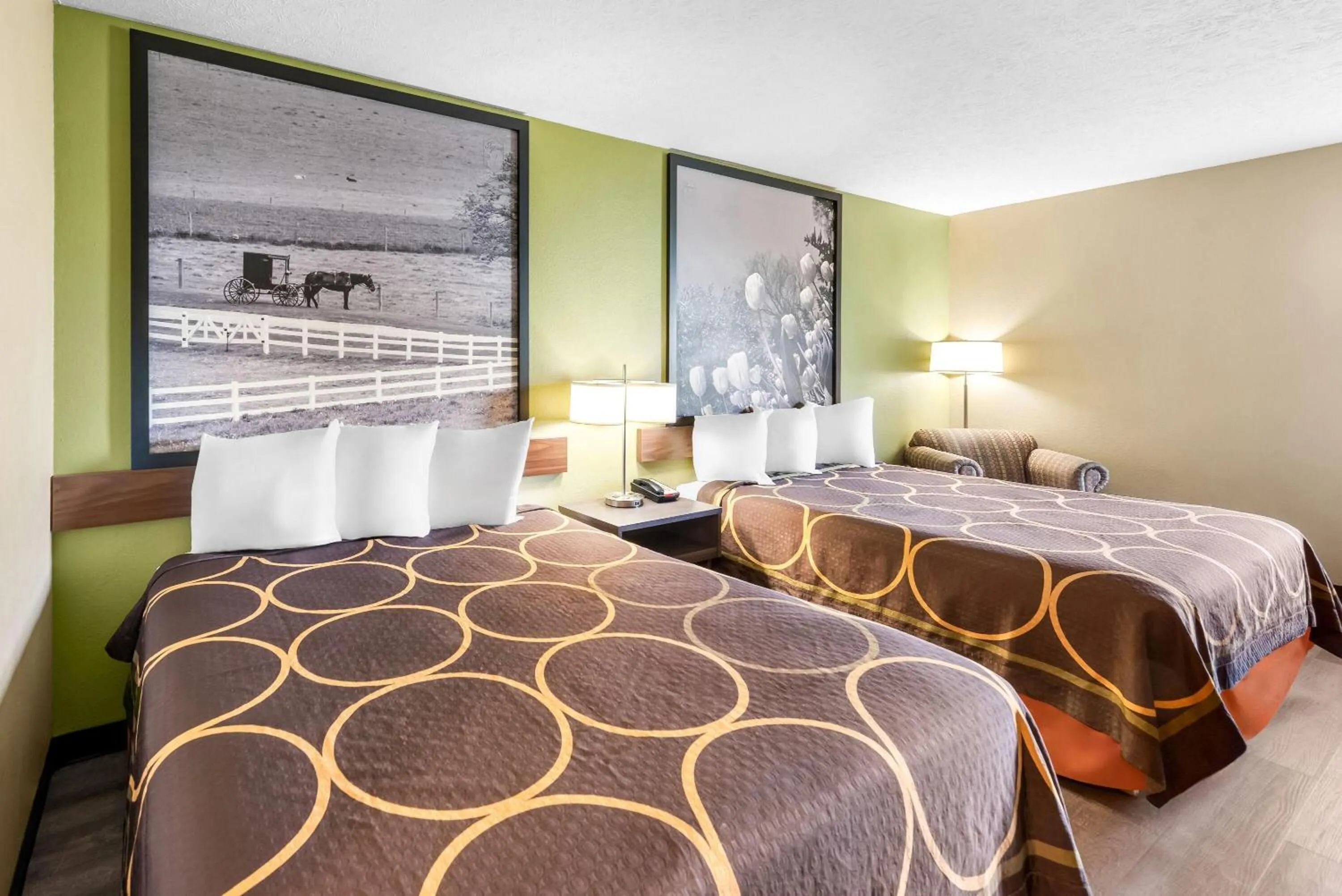 Queen Room with Two Queen Beds - Non-Smoking in Super 8 by Wyndham Bellefontaine