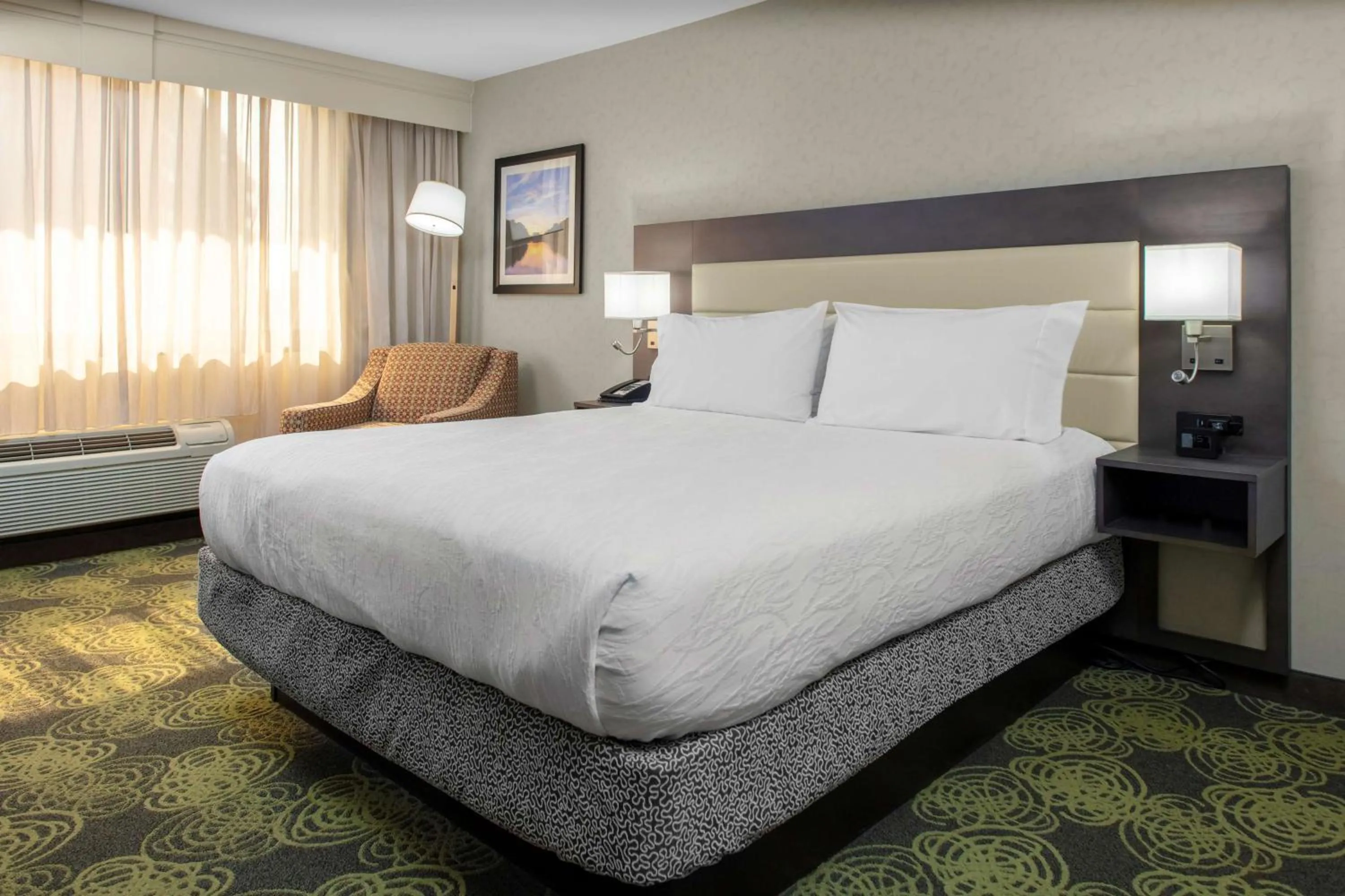 Standard One-Bedroom King Suite in Hilton Garden Inn Reagan National Airport