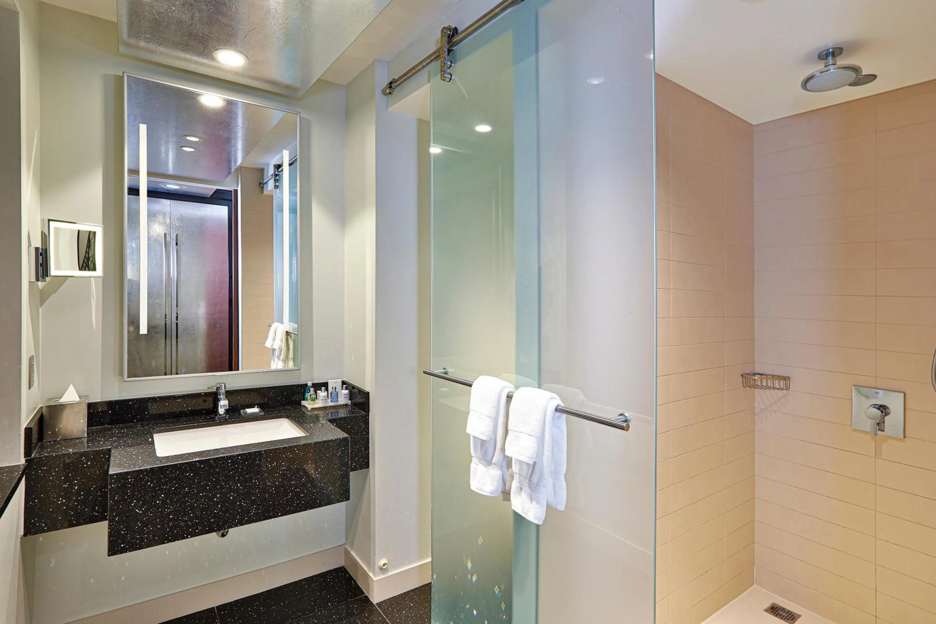 Premium Corner King Room with Balcony and Park View - Non-Smoking in Radisson Blu Aqua Hotel, Chicago