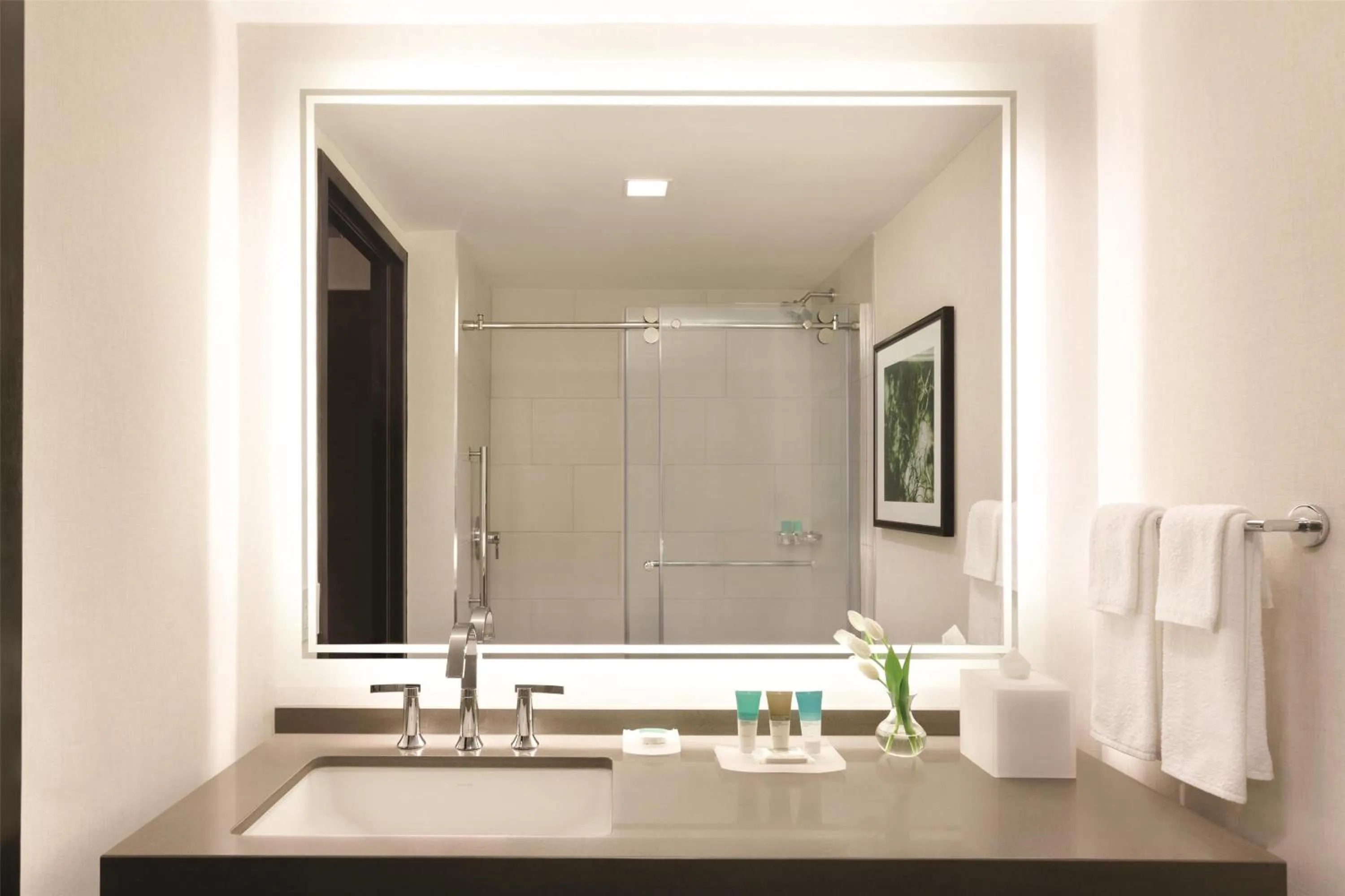 Bathroom in Hyatt Regency Savannah