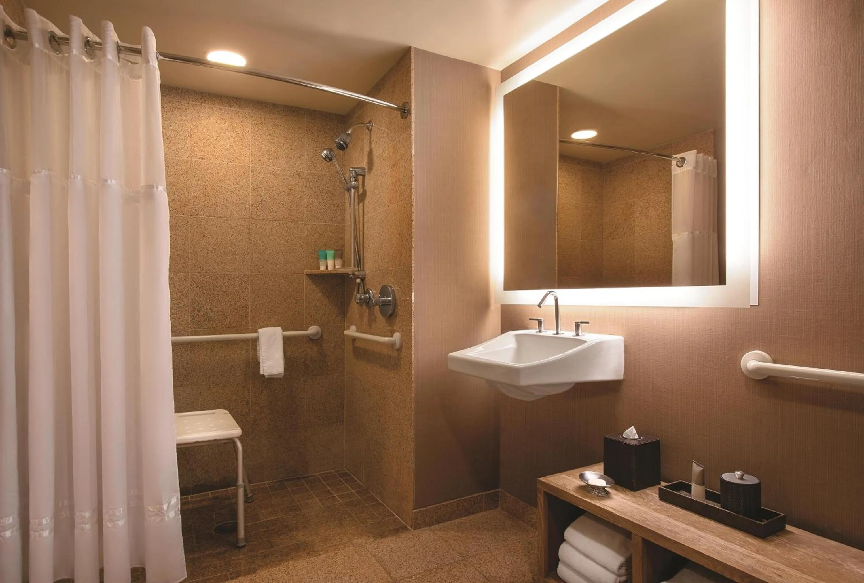King Room with Accessible Shower - Disability Access in Hyatt Regency Lake Tahoe Resort, Spa & Casino