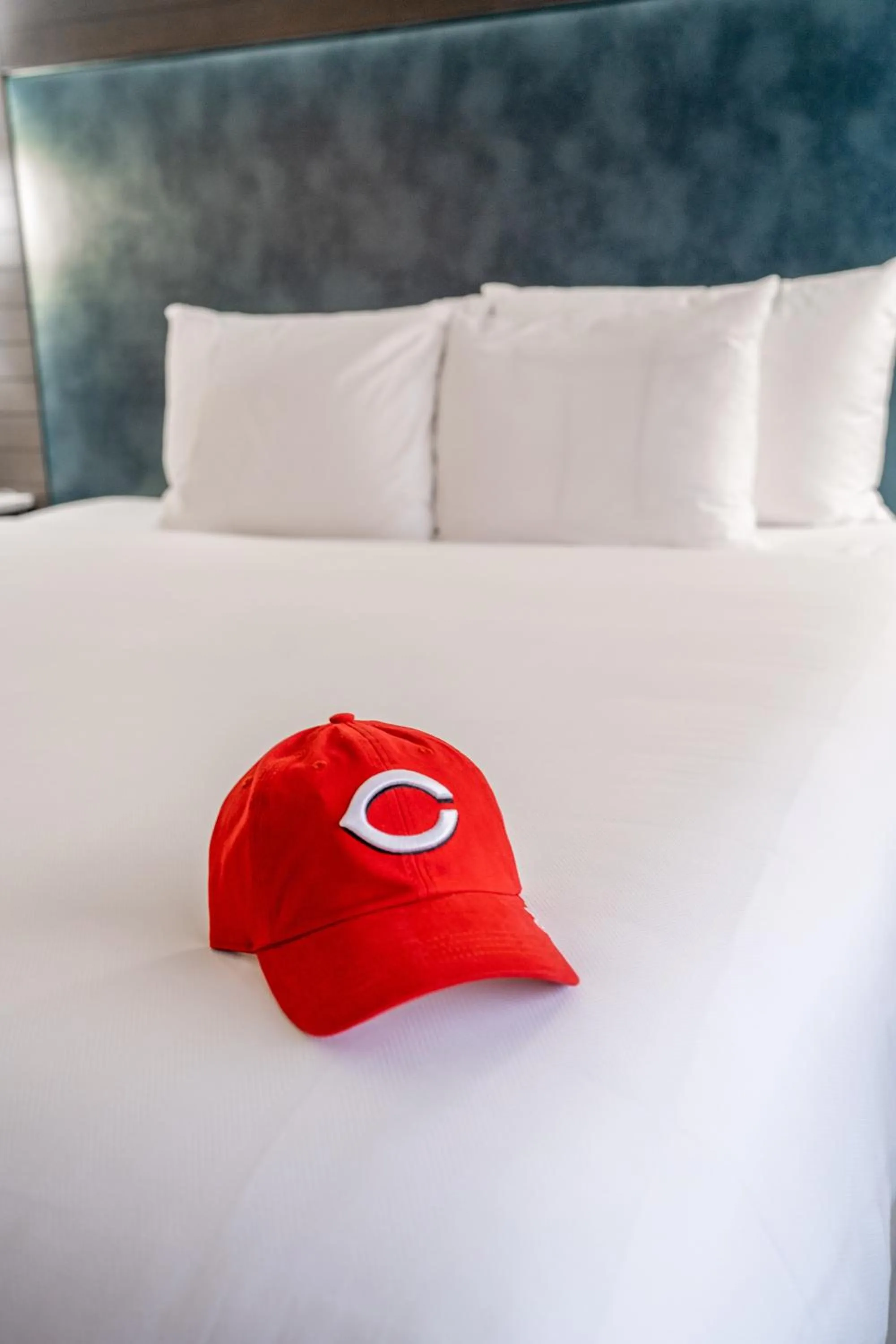 King Room - High Floor in Hyatt Regency Cincinnati