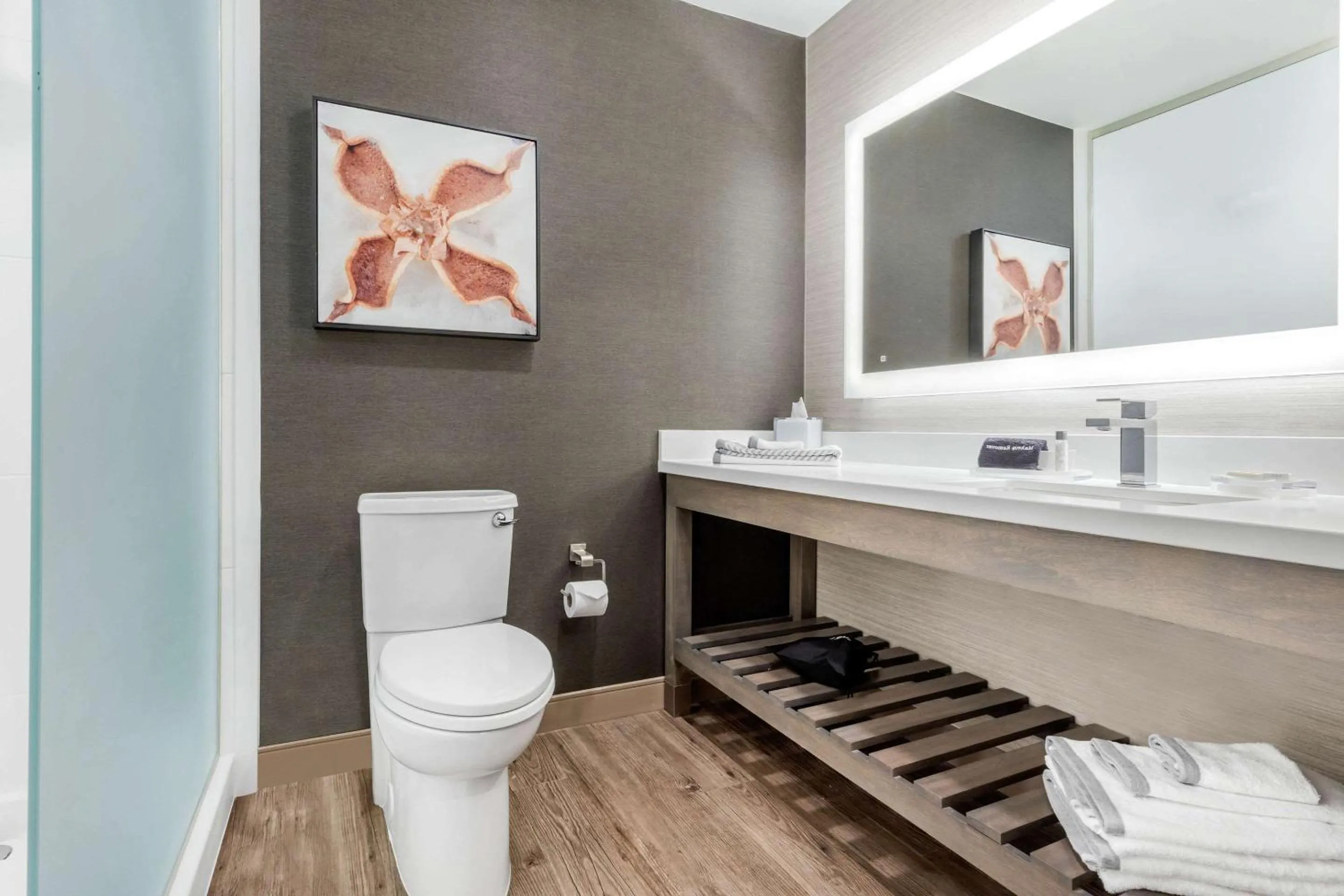 Efficiency King Suite with Sofa - single occupancy - Non Smoking in Cambria Hotel Fort Mill