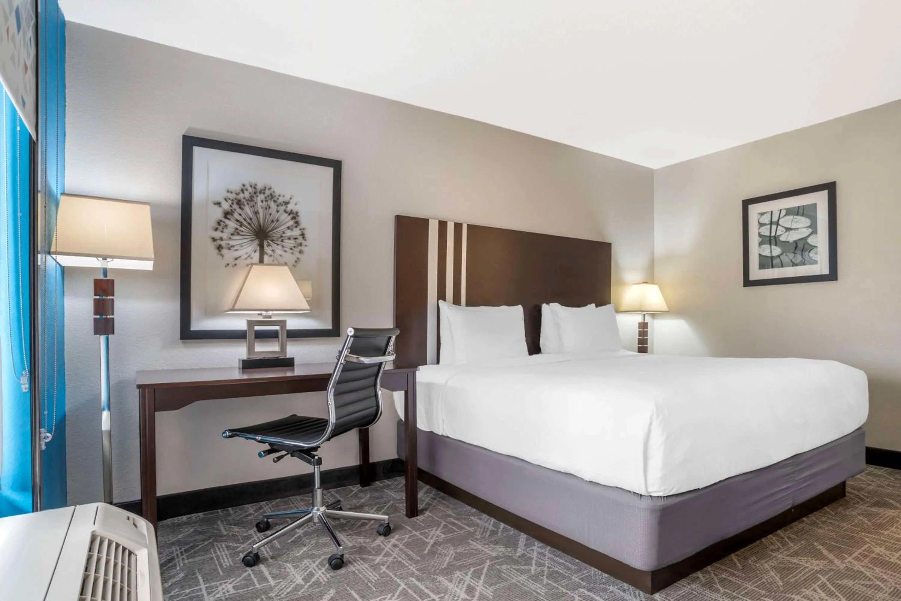 King Room with Bath Tub - Disability Access/Non-Smoking  in Best Western Andalusia Inn