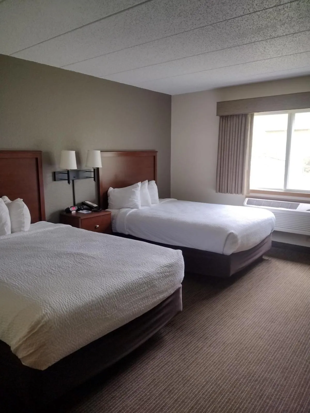 Queen Room with Two Queen Beds - Non-Smoking in AmericInn by Wyndham Red Wing