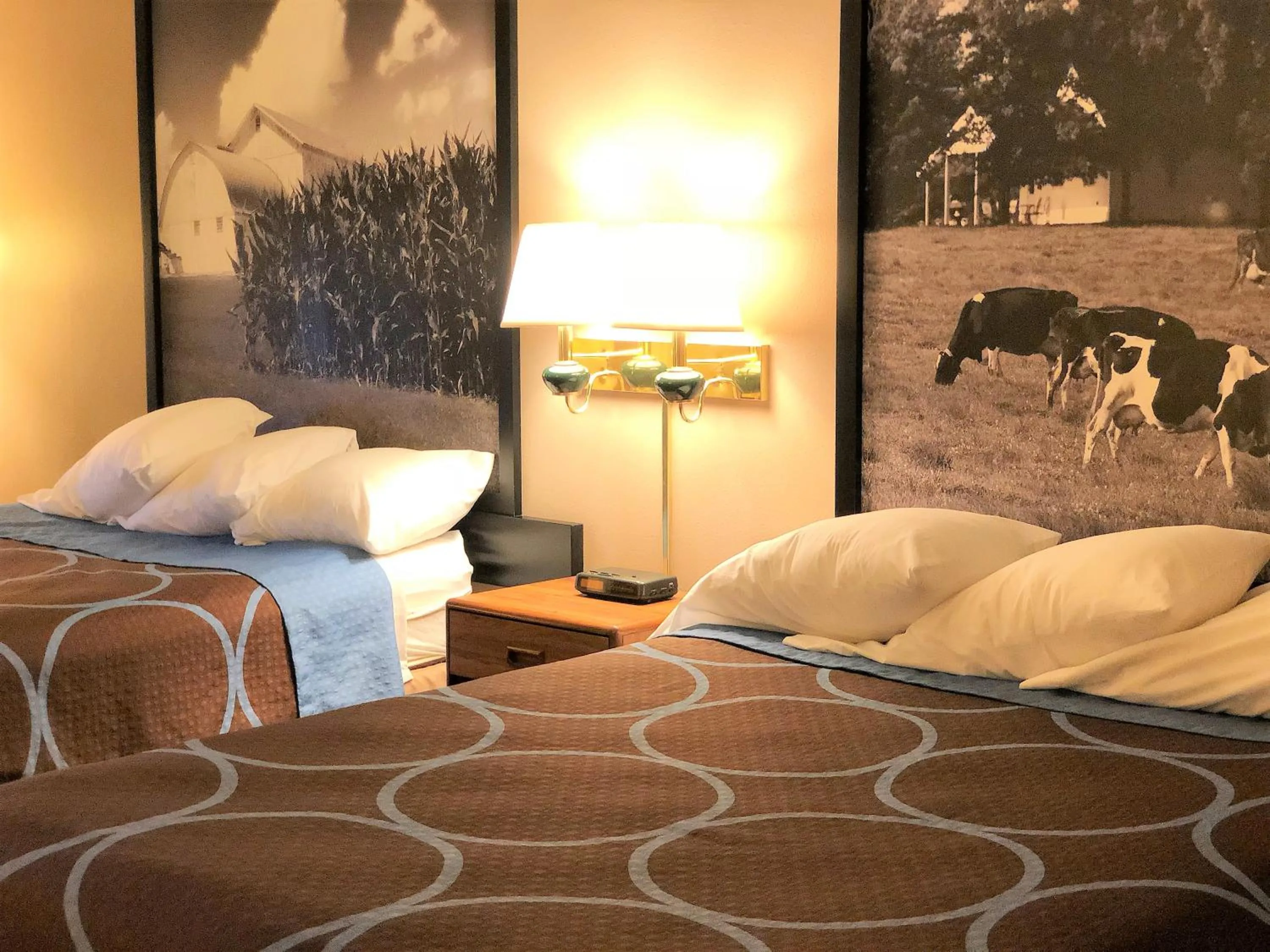 Queen Room with Two Queen Beds - Non-Smoking in Super 8 by Wyndham Dodgeville