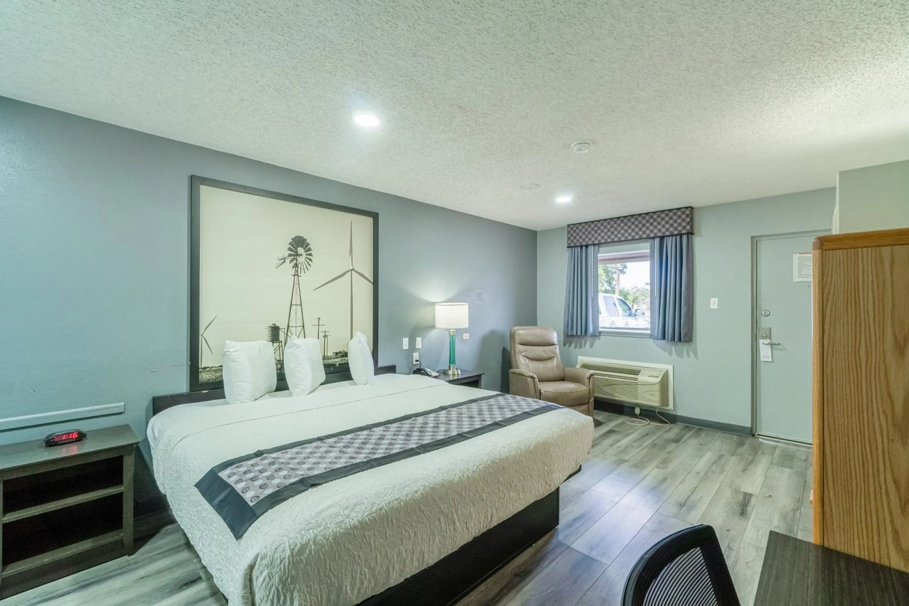 King Bed Smoking in Purple Sage By OYO Snyder TX