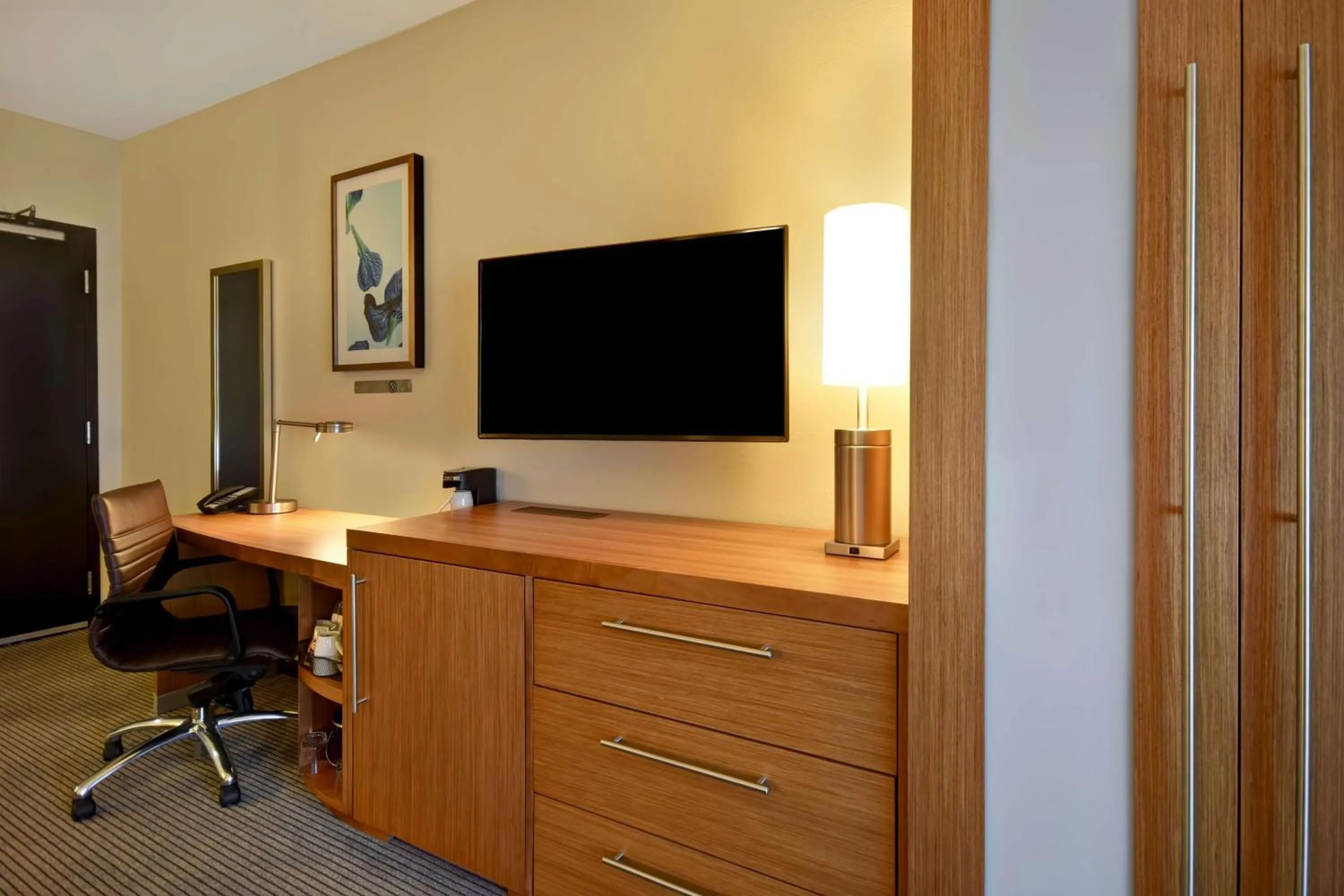 King Suite with Sofa Bed and Roll-In Shower - Disability Access in Hyatt Place Huntsville - Research Park - Redstone