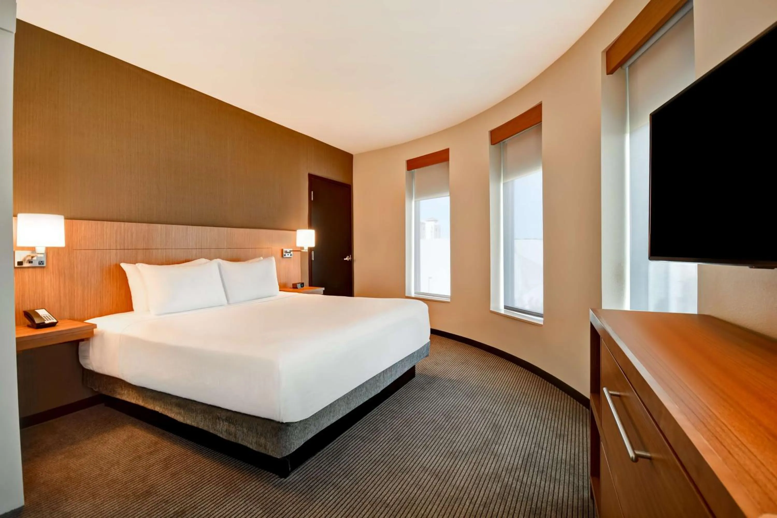 One-Bedroom King Suite with Sofa Bed in Hyatt Place Huntsville - Research Park - Redstone