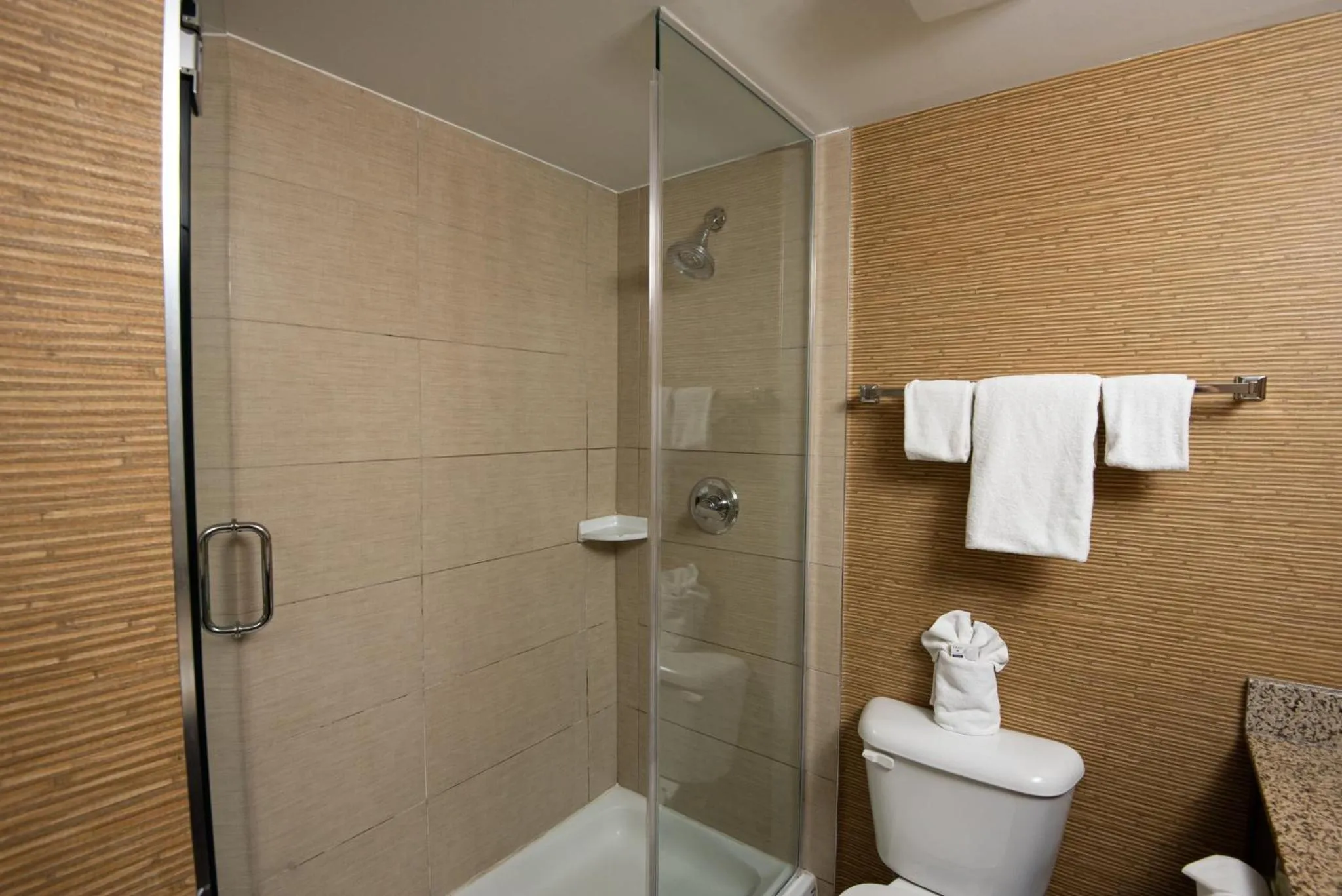 King Room - Disability Access in Holiday Inn Express Hotel & Suites Chatham South by IHG