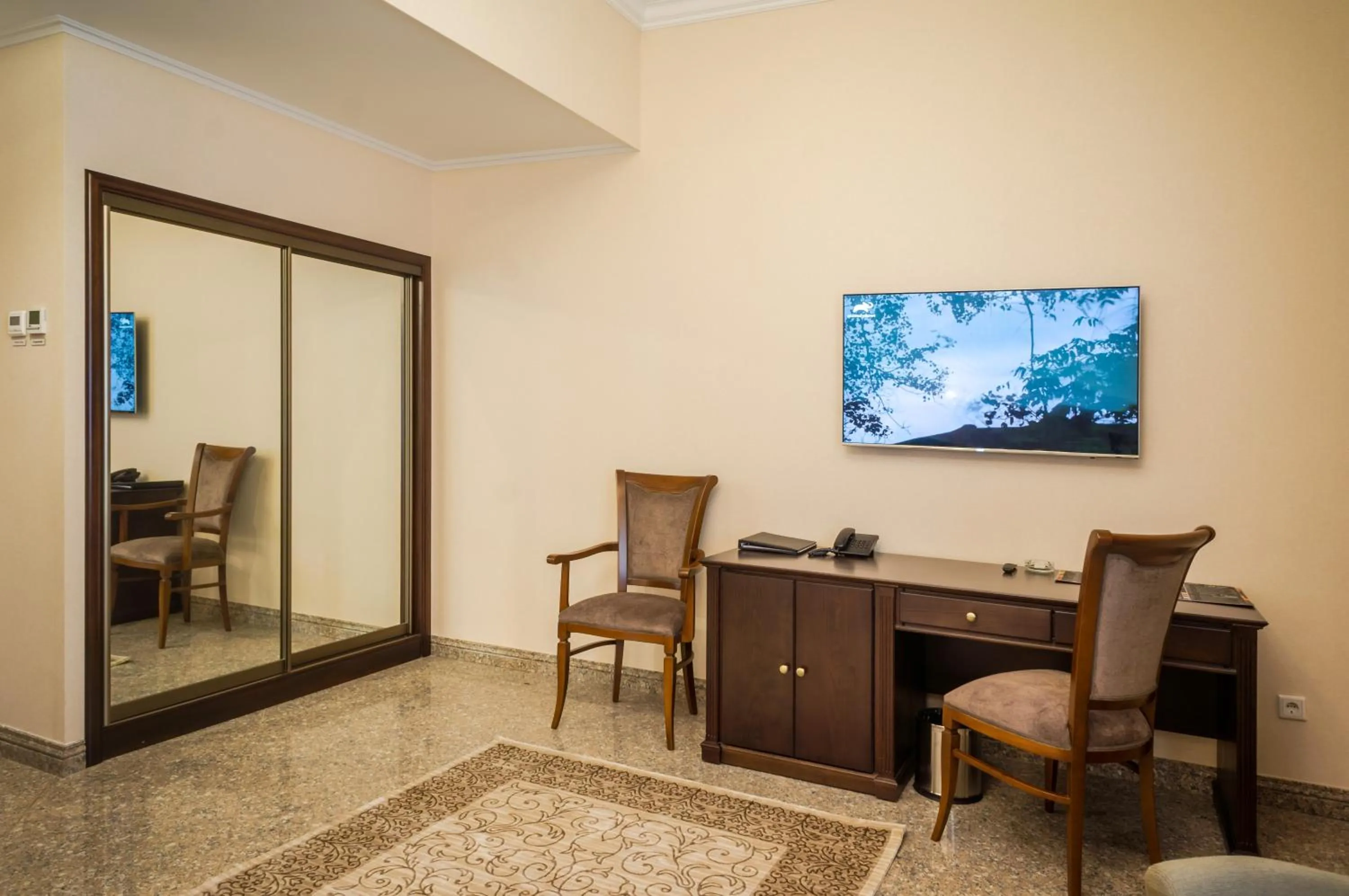 Standard Double Room - single occupancy in Royal Plus Hotel