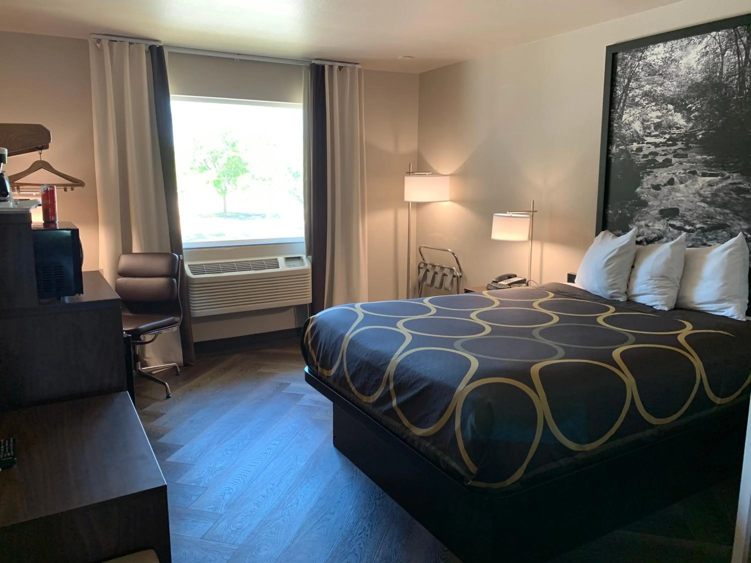 Queen Room - Non-Smoking in Super 8 by Wyndham Greeley