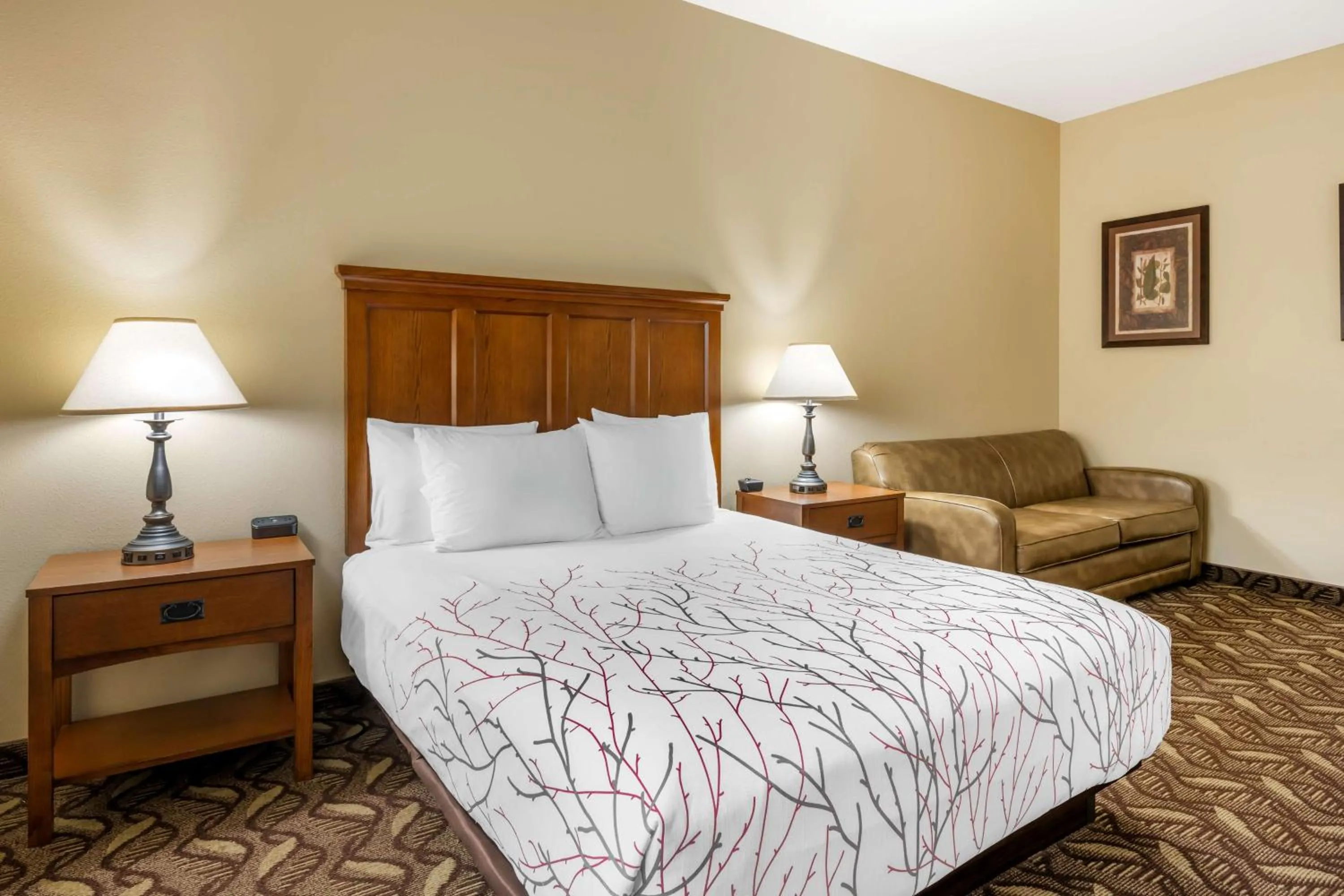 Queen Room with Bathtub - Disability Access in Best Western Lodge at River's Edge