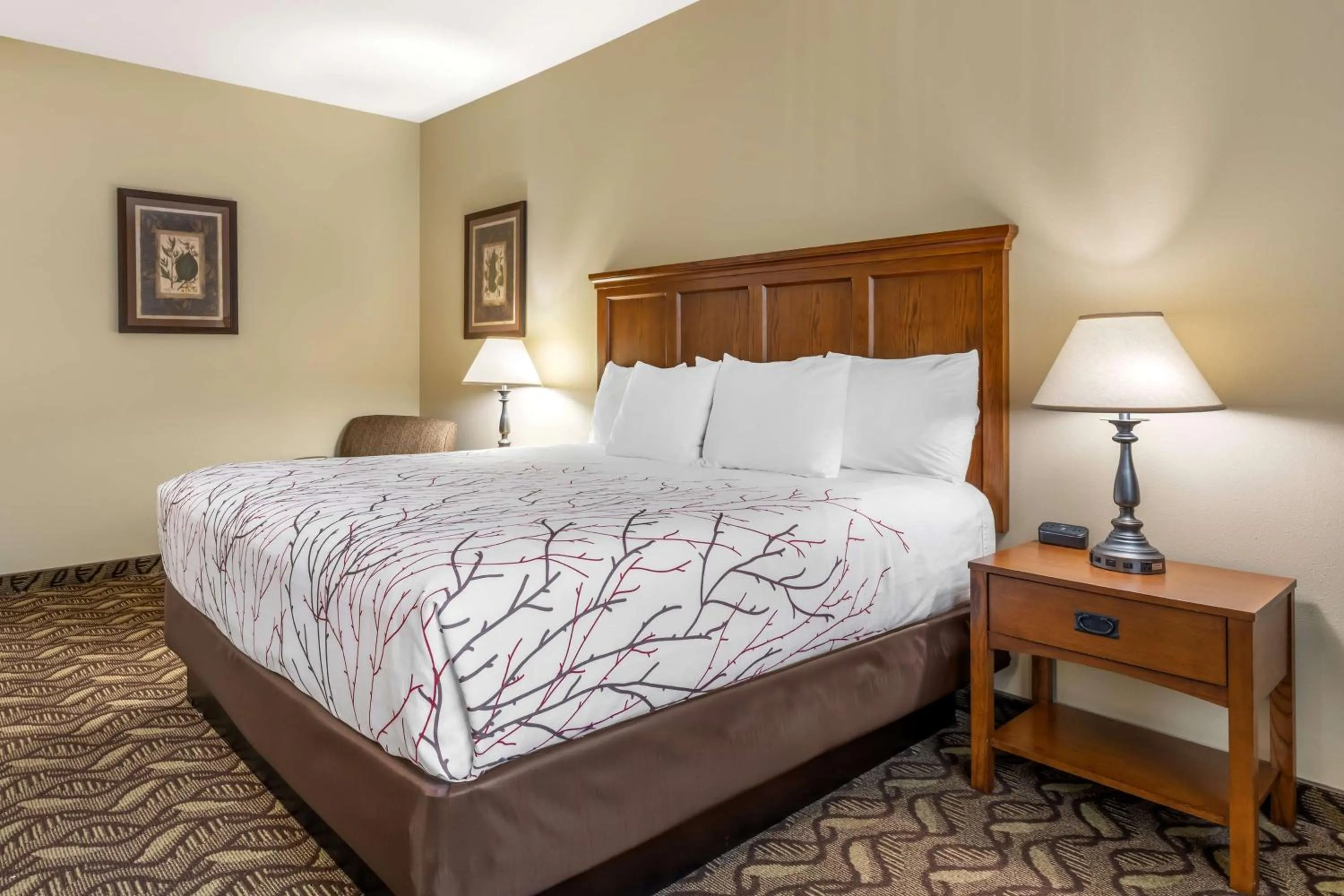 King Room in Best Western Lodge at River's Edge