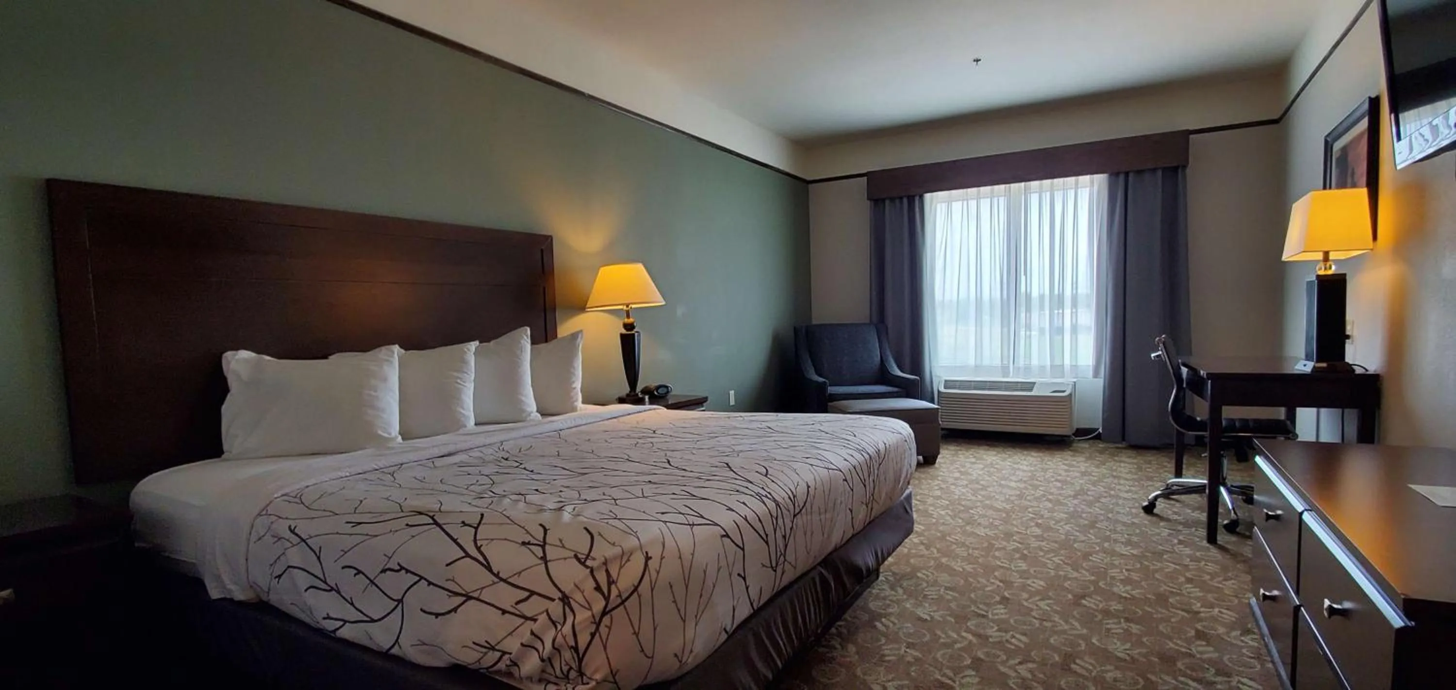 King Room - Non-Smoking in Best Western Plus Emory at Lake Fork Inn & Suites