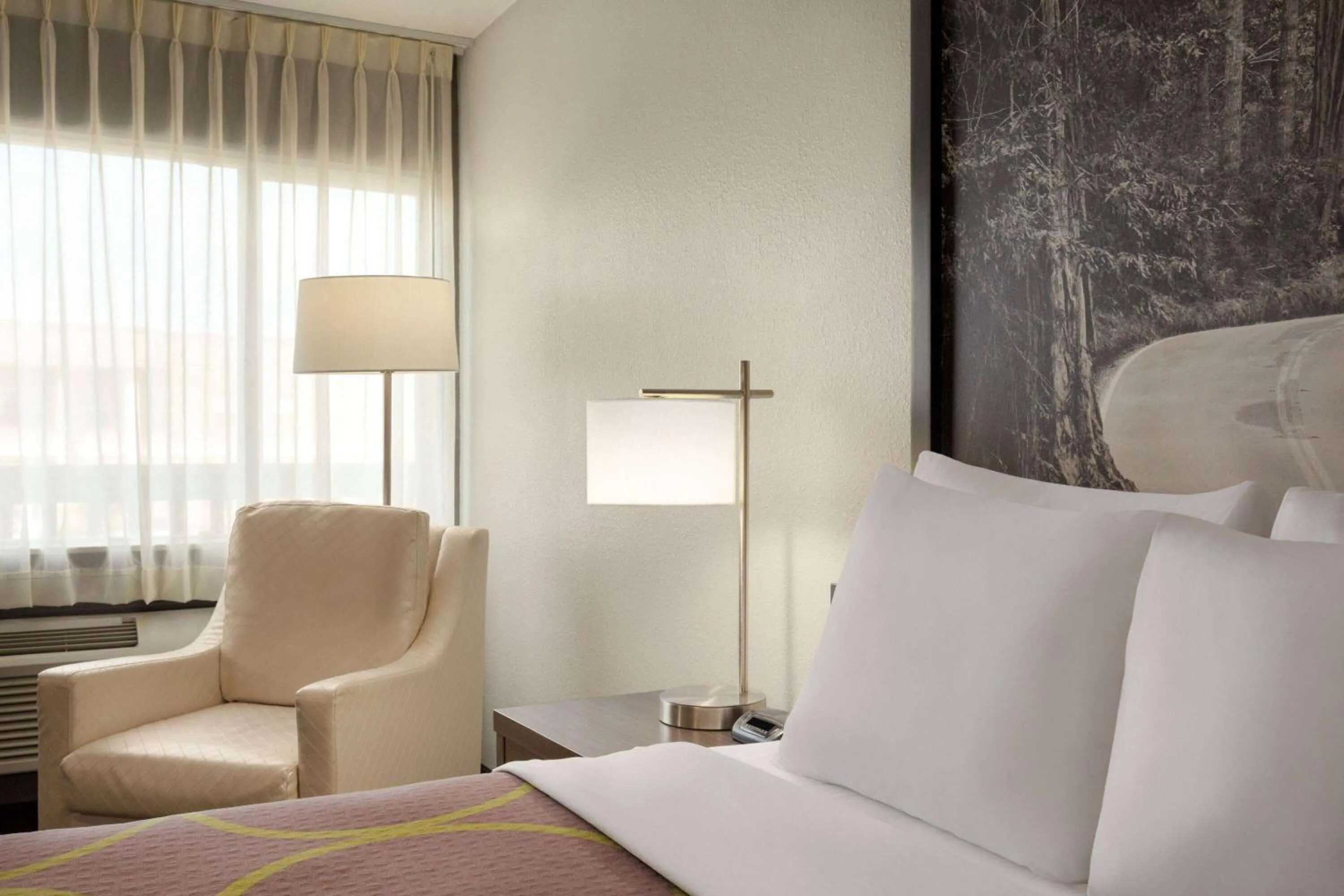 Queen Room - Mobility Access/Non-Smoking in Super 8 by Wyndham Eureka