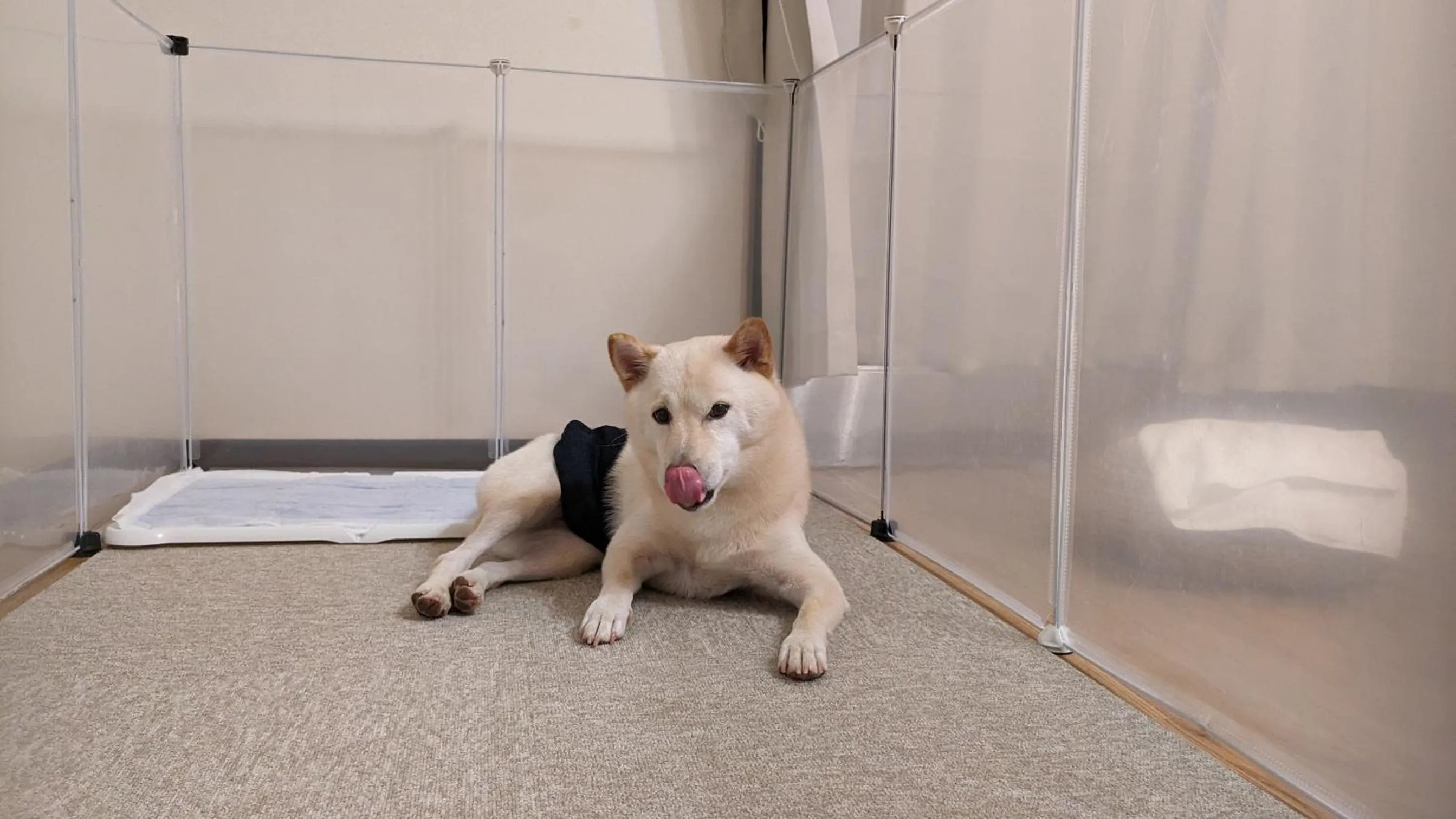 Quadruple Room with Terrace（Pet friendly） - single occupancy in HiyagunLanaiResort