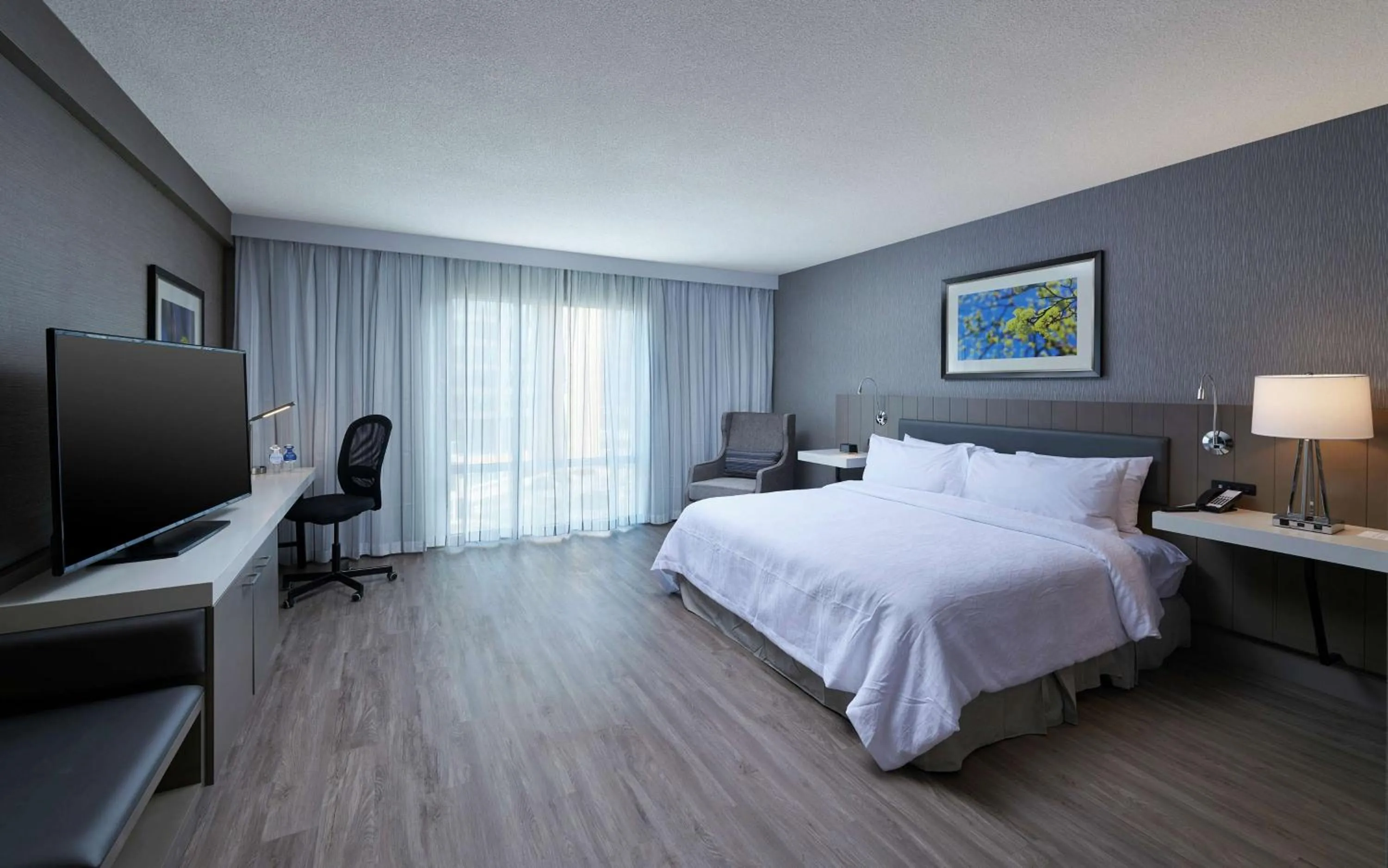 King Room with Harbor View in Hilton Garden Inn St. John's Newfoundland, Canada