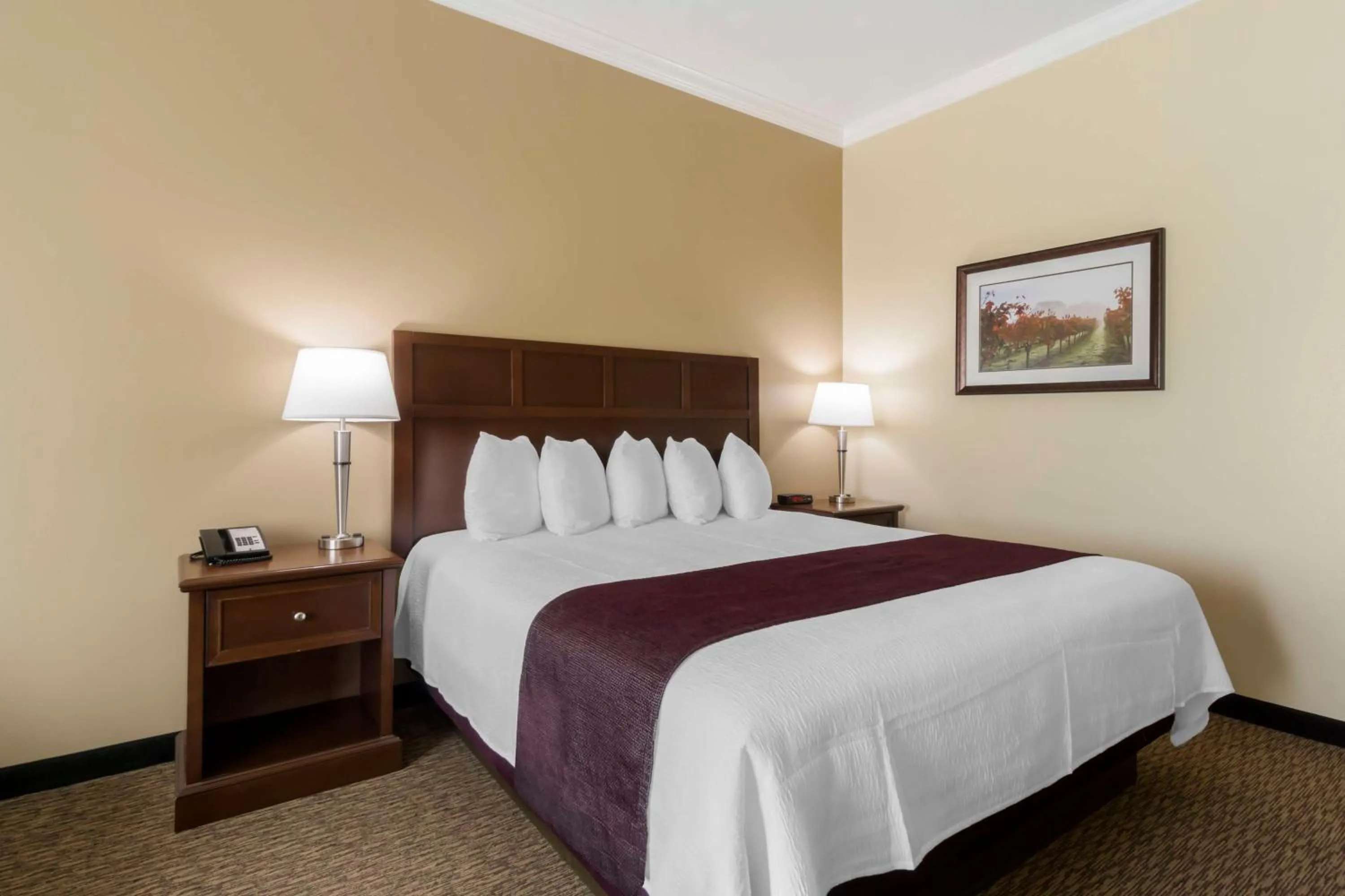 King Room with Vineyard View in Best Western Plus Grapevine Inn