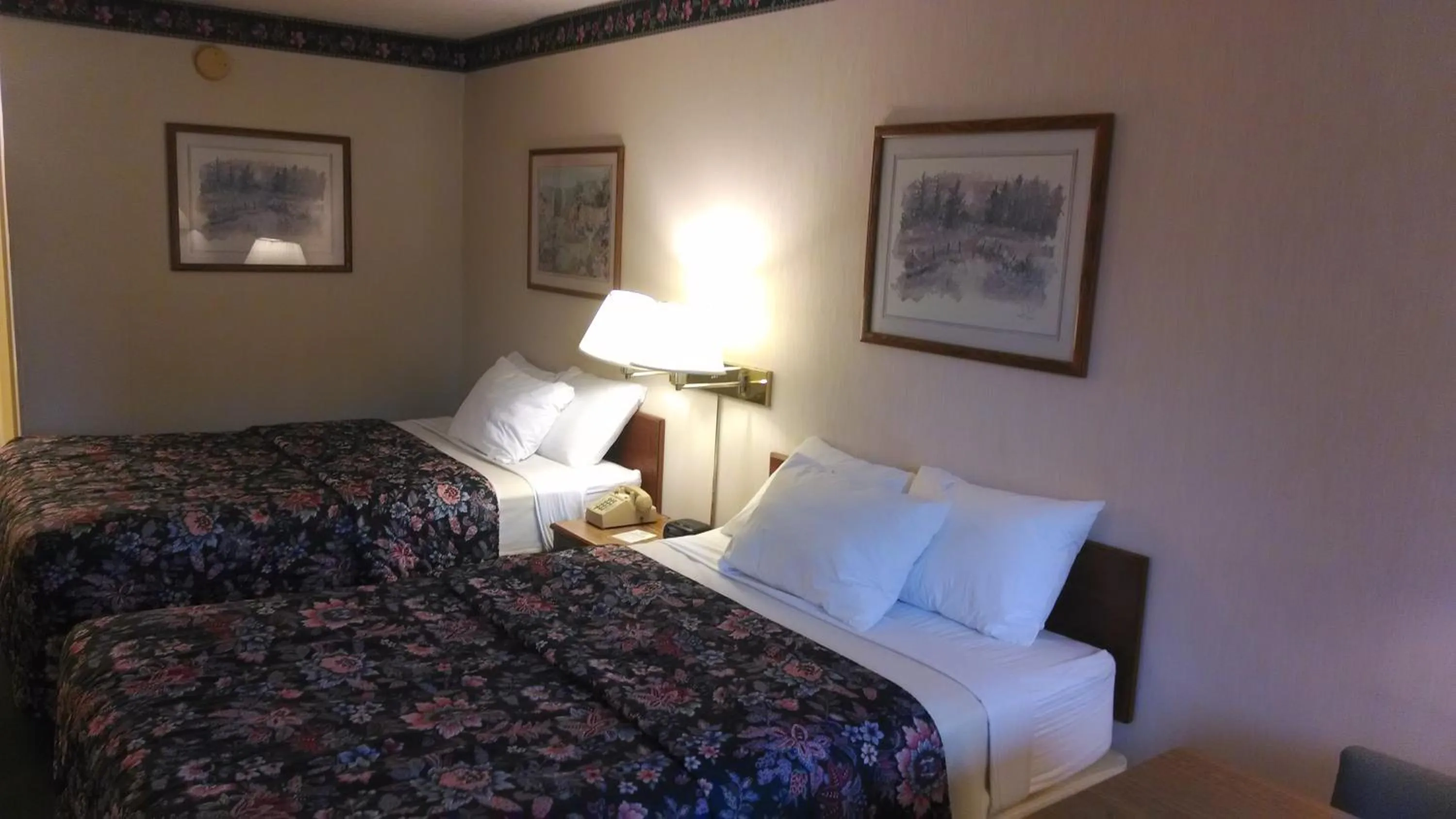 Double Room in Amercia's Best Value Inn - Marion