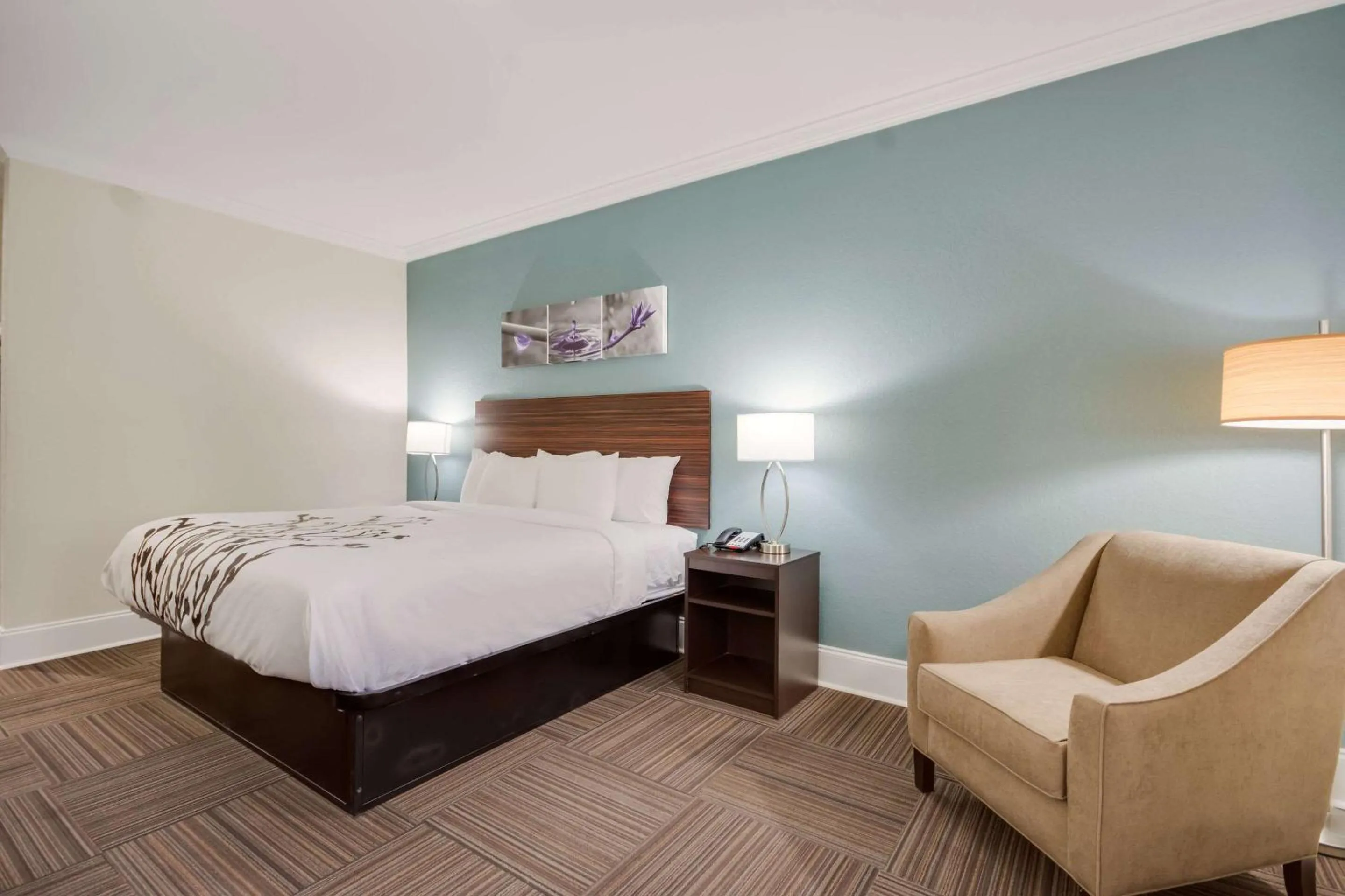 King Room - Accessible/Non Smoking in Sleep Inn & Suites Niceville - Destin