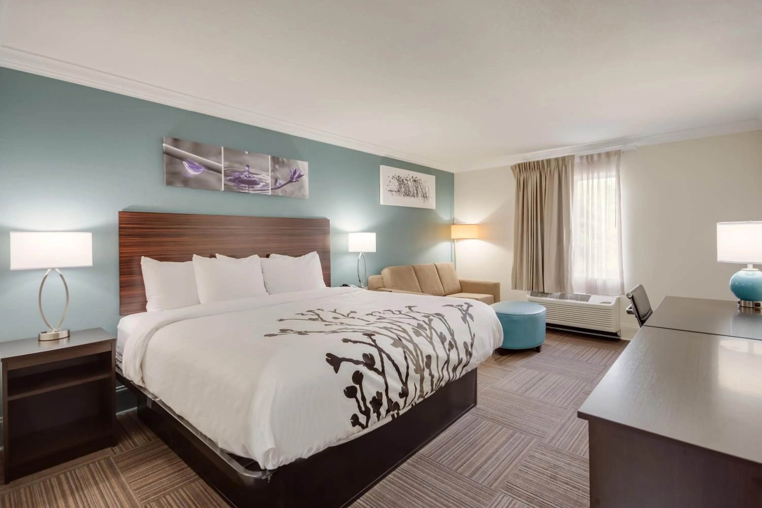 King Suite - Non Smoking in Sleep Inn & Suites Niceville - Destin